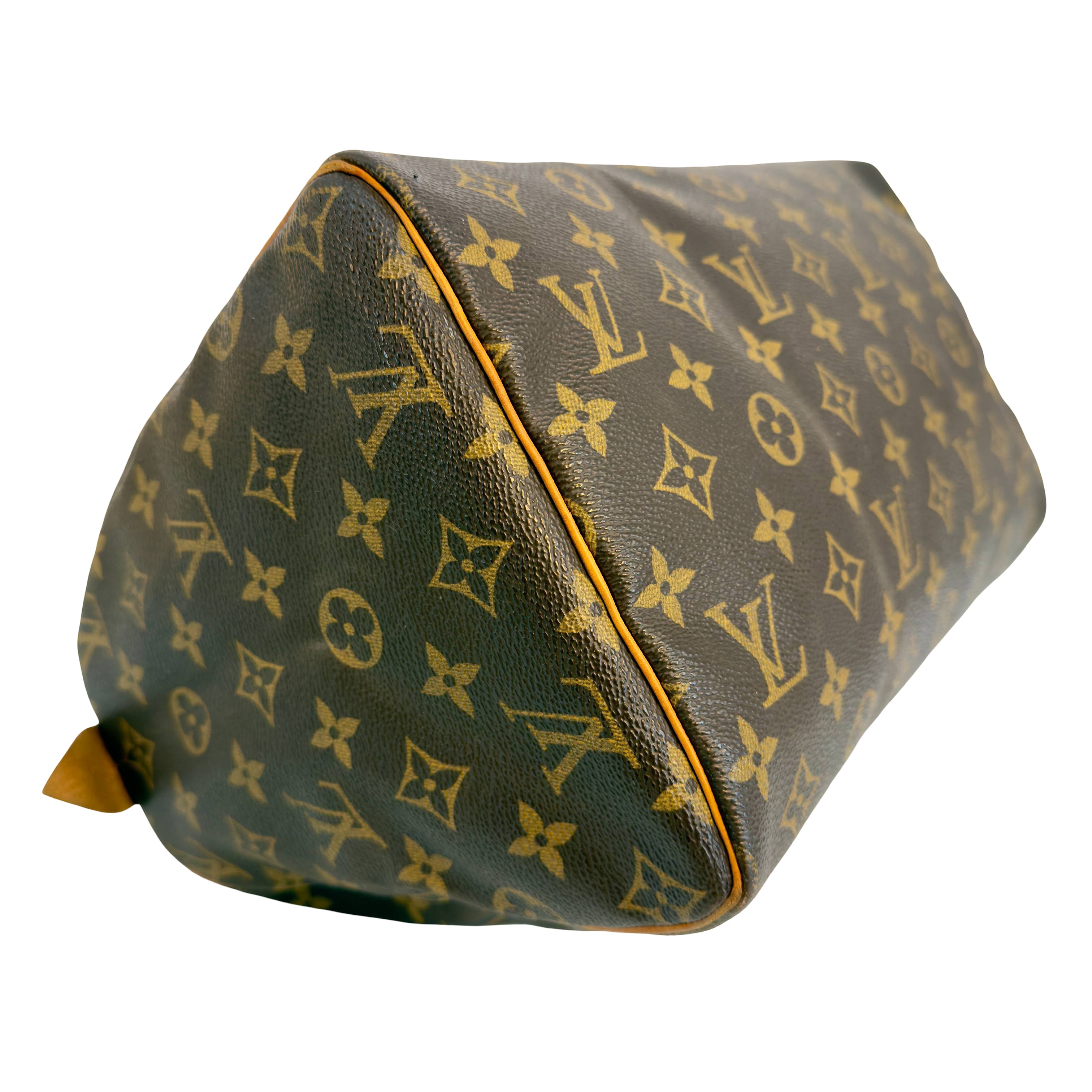 Louis Vuitton Speedy 30 Braun Monogram Canvas