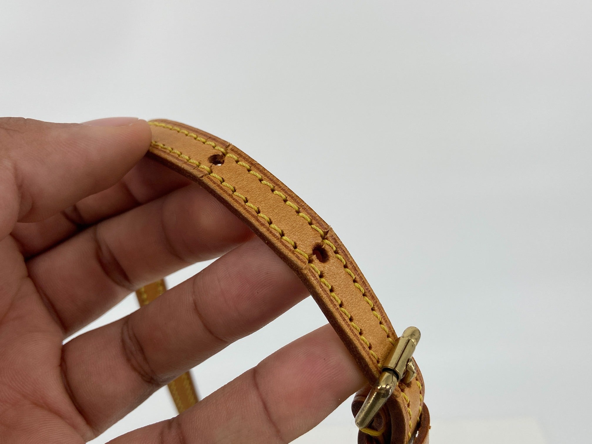 Louis Vuitton Pochette Accessoires Monogram Canvas