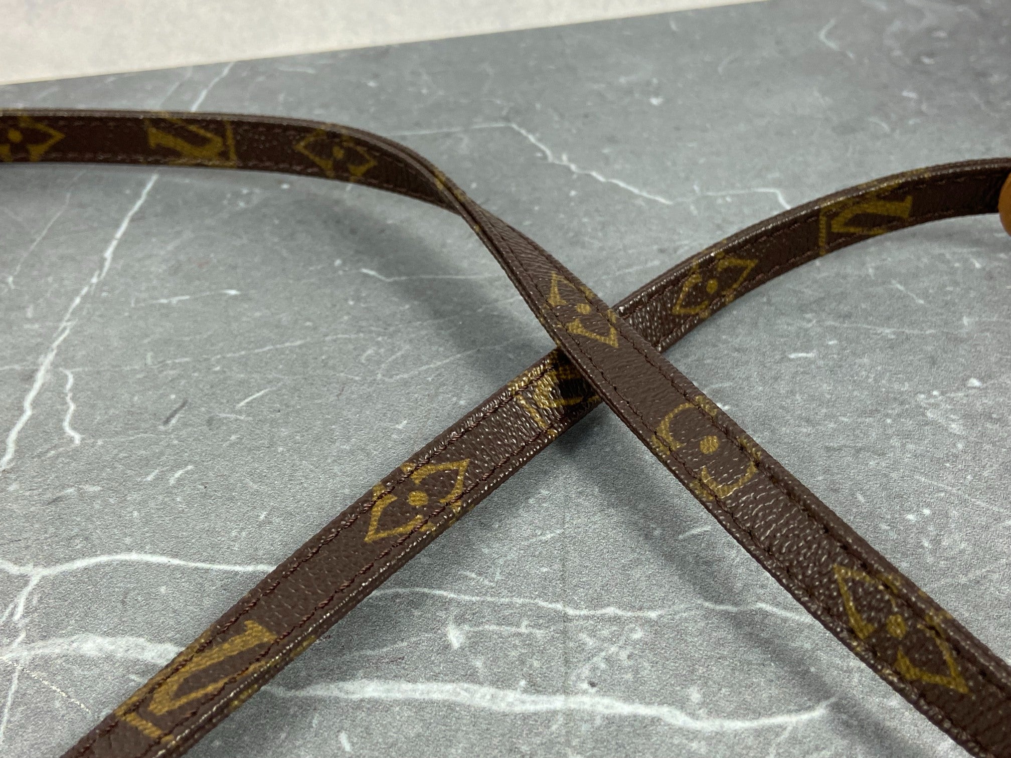 Louis Vuitton Pochette Accessoires Monogram Canvas