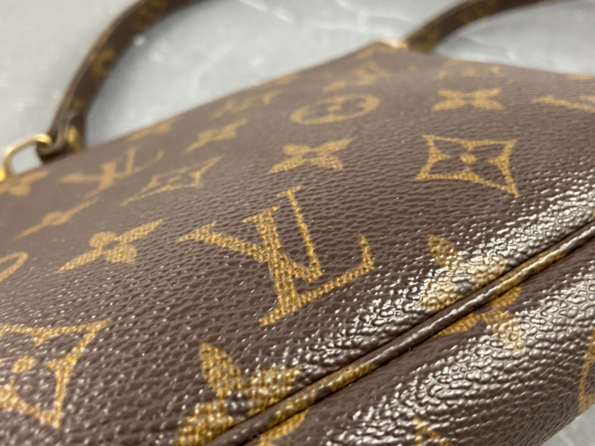 Louis Vuitton Pochette Accessoires Monogram Canvas