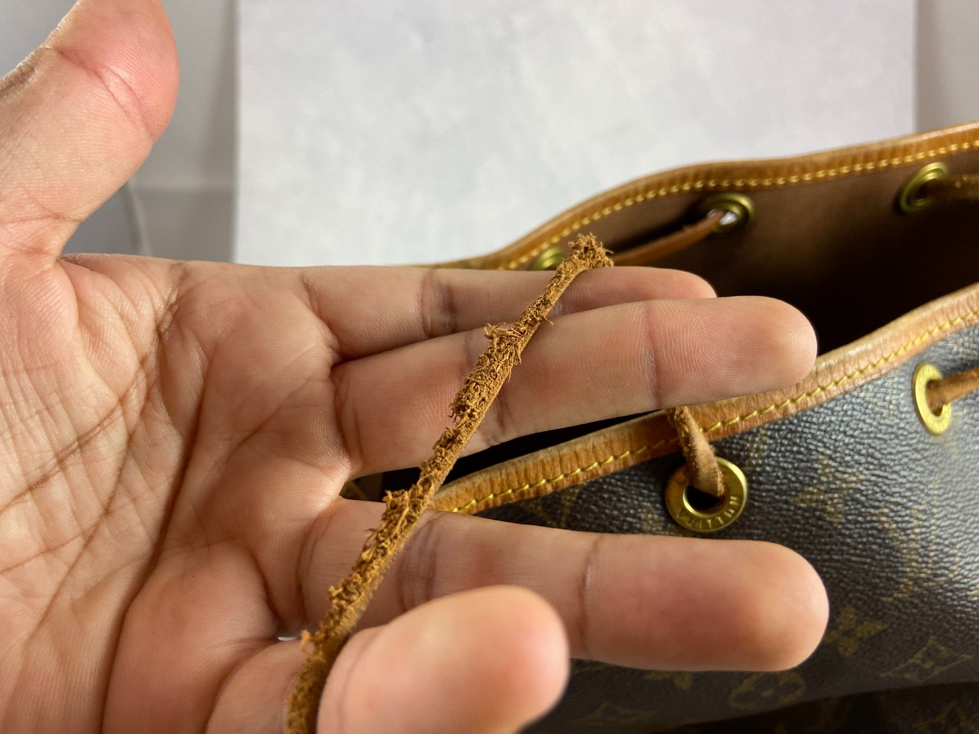 Louis Vuitton Sac Noé Grand Monogram Canvas