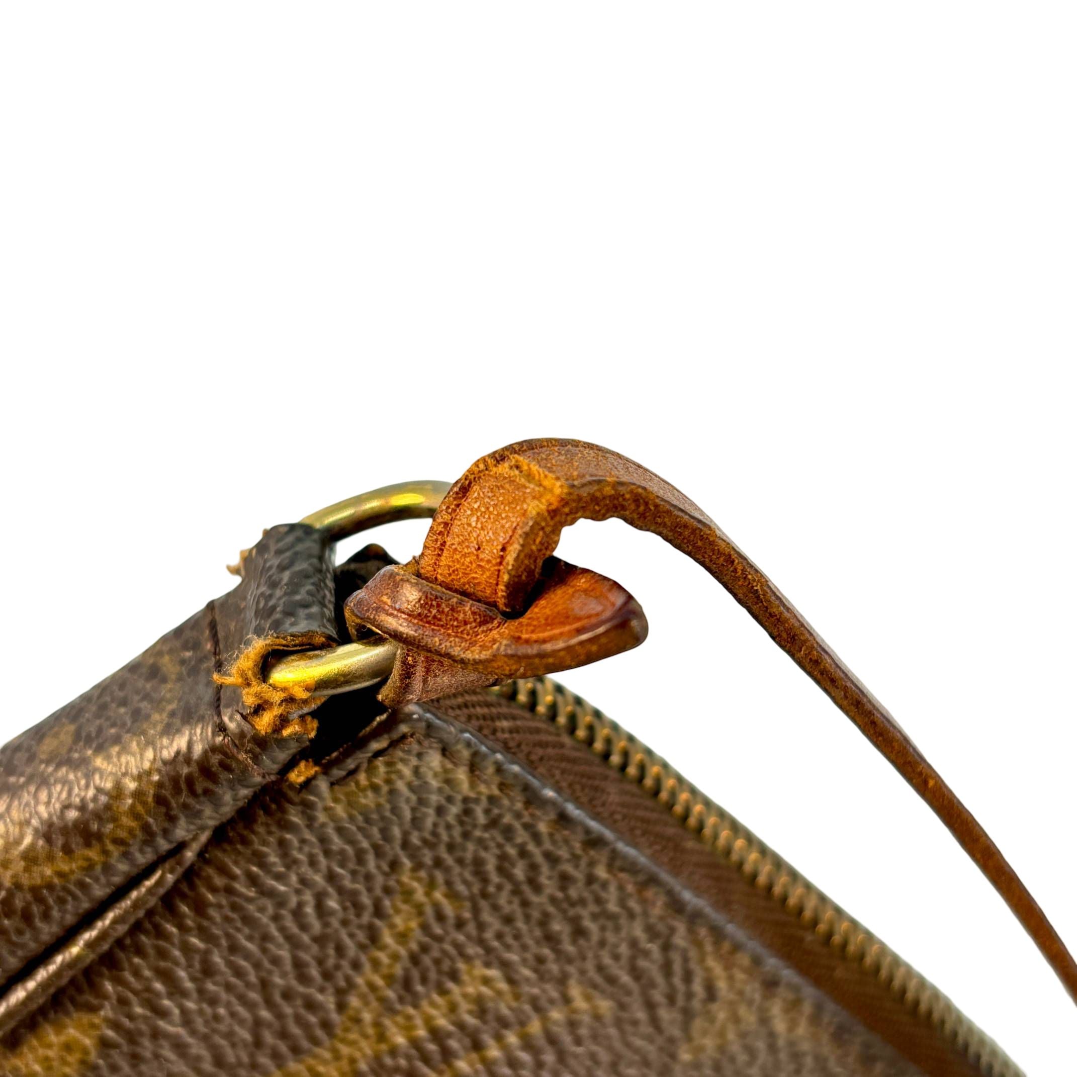 Louis Vuitton Pochette Accessoires Braun Monogram Canvas