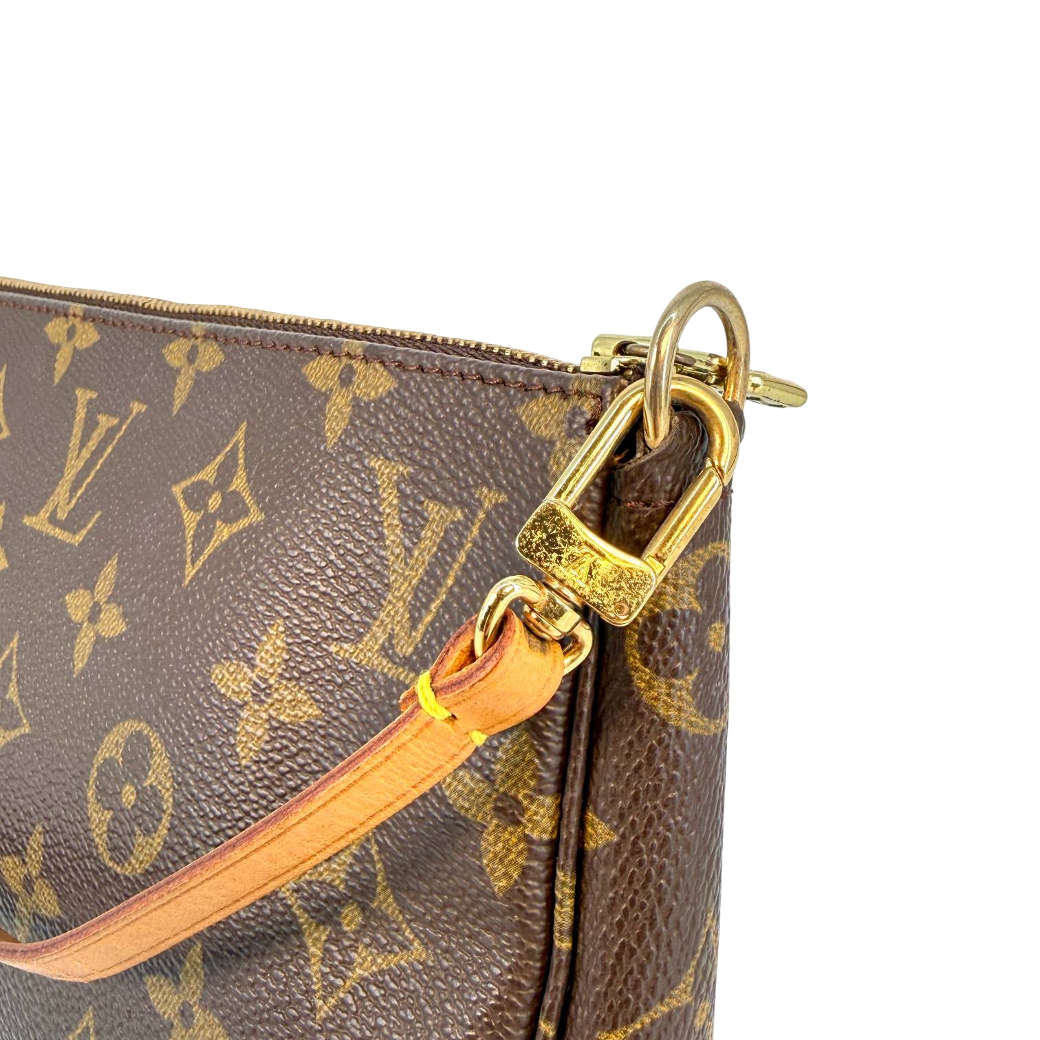 Louis Vuitton Pochette Accessoires Braun Monogram Canvas