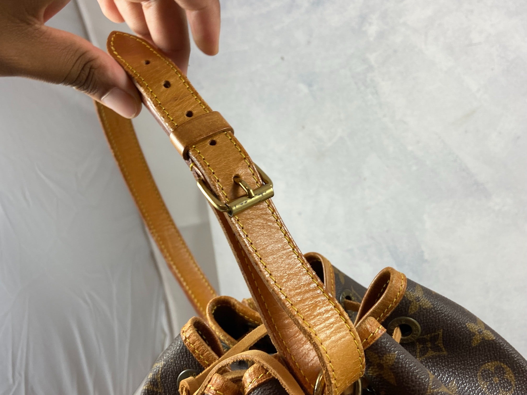 Louis Vuitton Sac Noé Petit Monogram Canvas