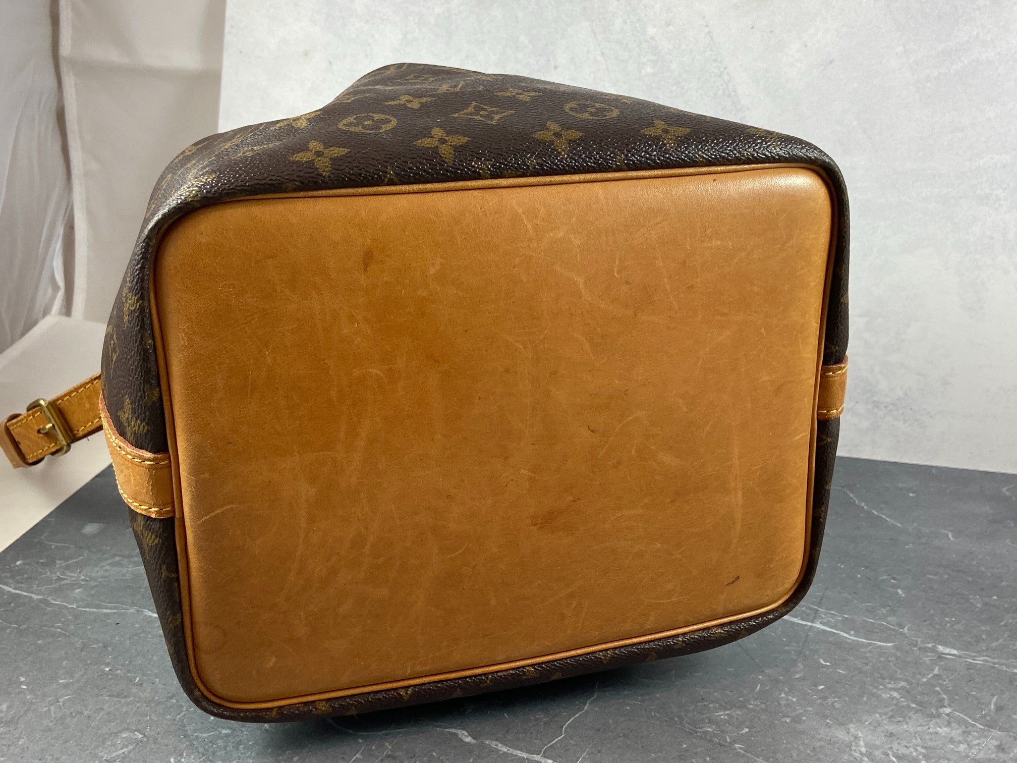 Louis Vuitton Sac Noé Petit Monogram Canvas