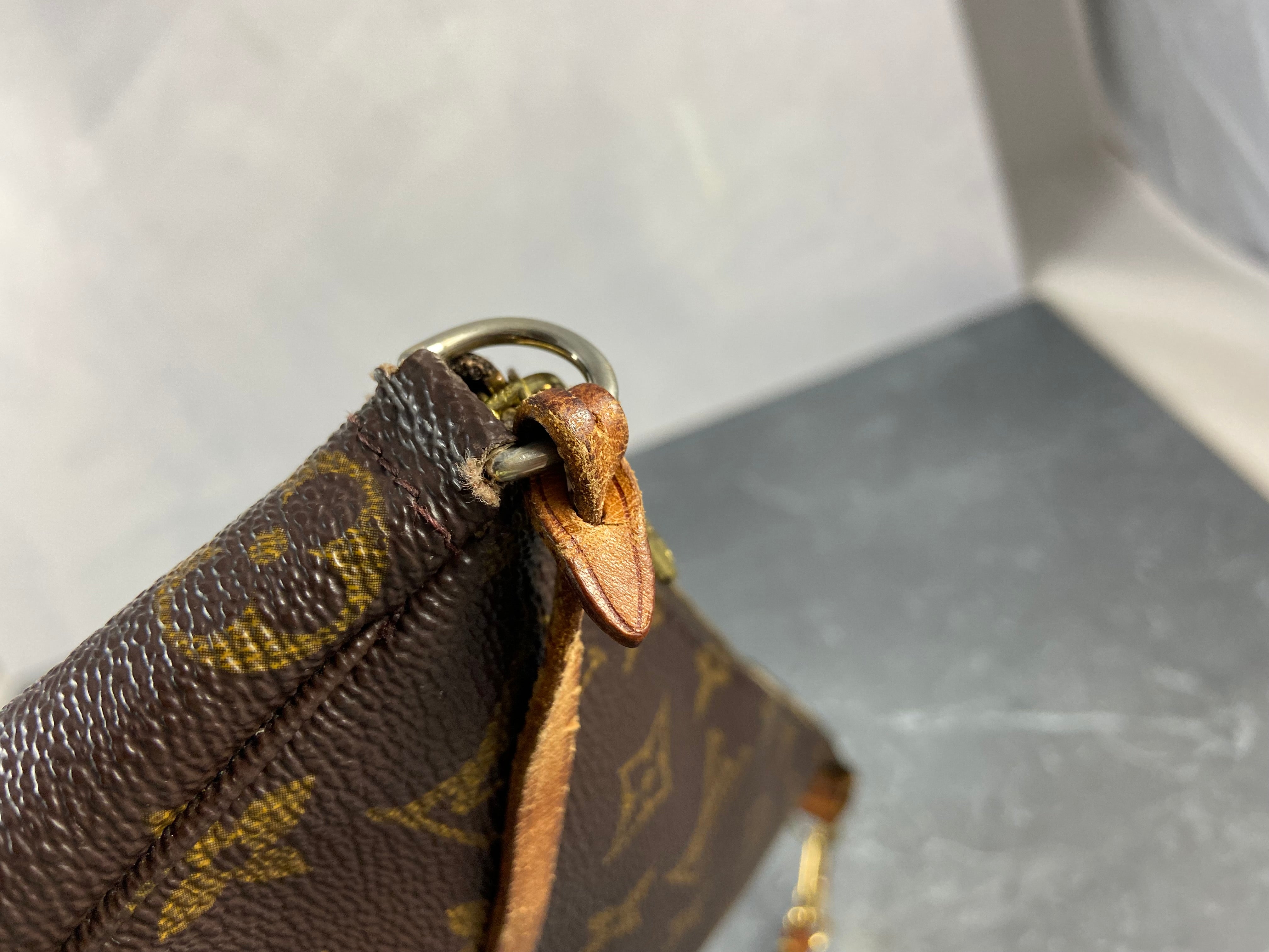 Louis Vuitton Pochette Accessoires Monogram Canvas