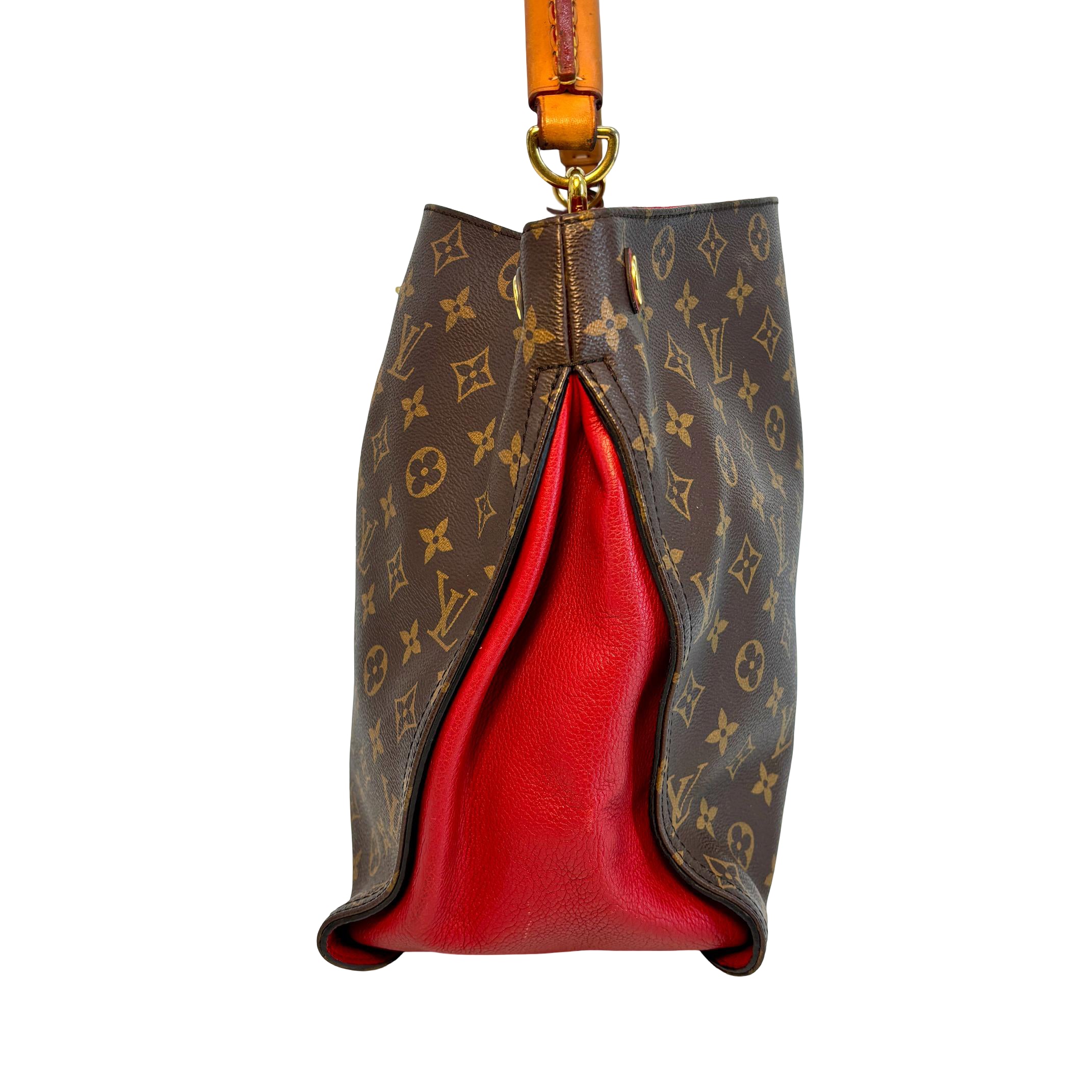 Louis Vuitton Gaia Hobo Bag Monogram Canvas