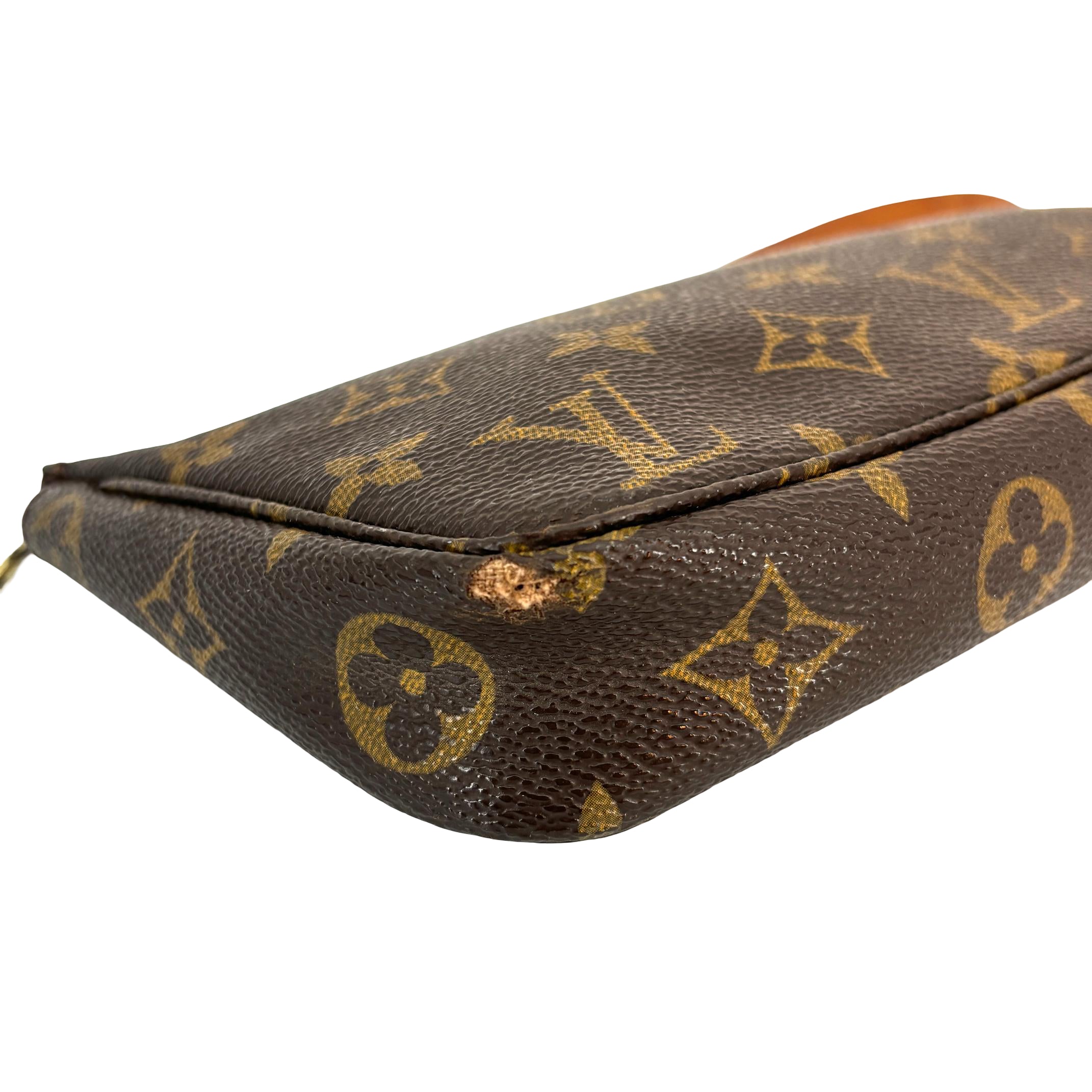 Louis Vuitton Pochette Accessoires Monogram Canvas