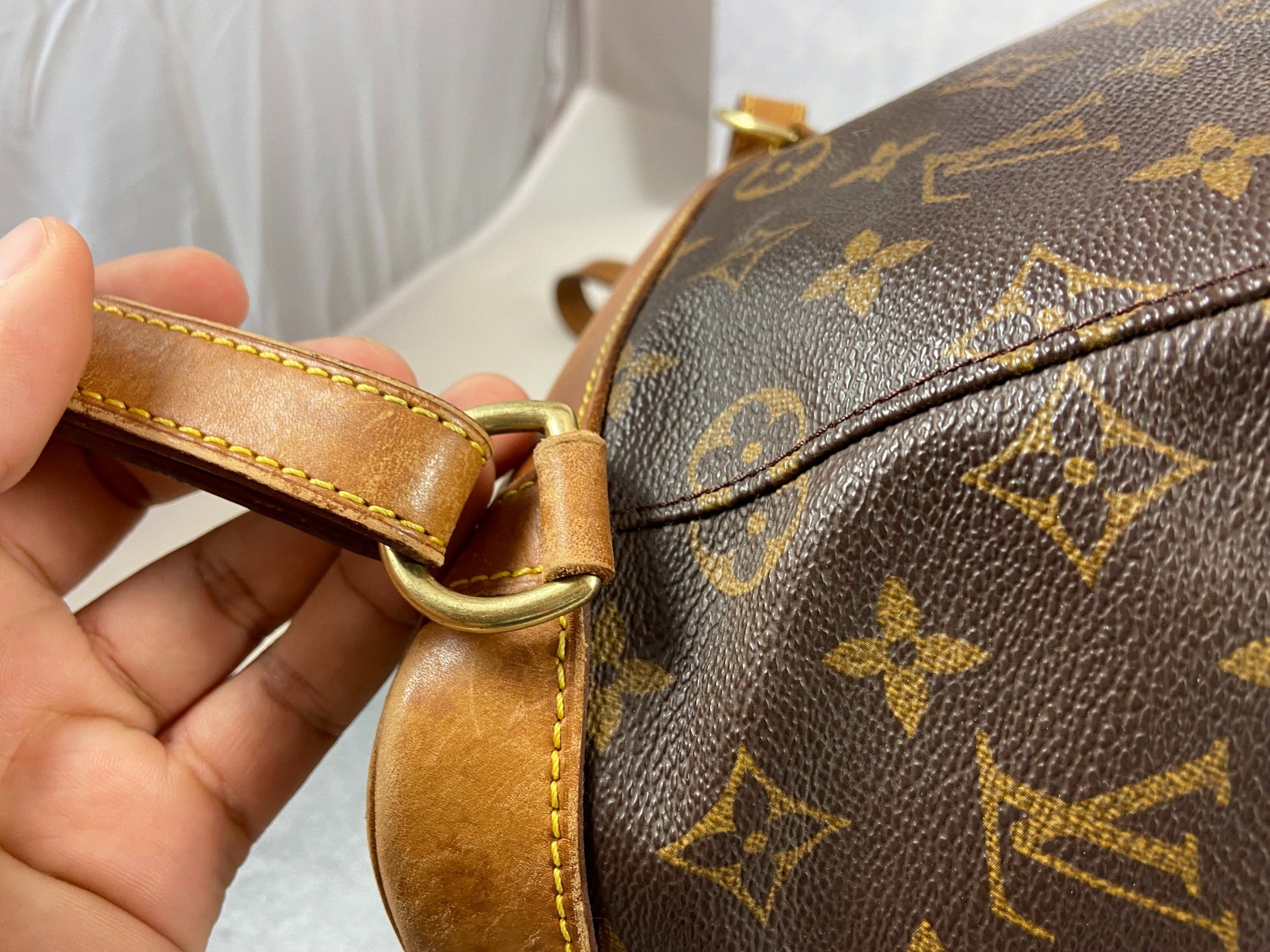 Louis Vuitton Montsouris MM Backpack Monogram Canvas