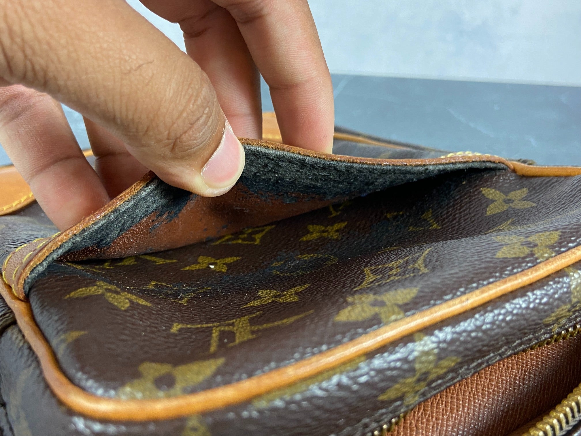 Louis Vuitton Danube PM Monogram Canvas