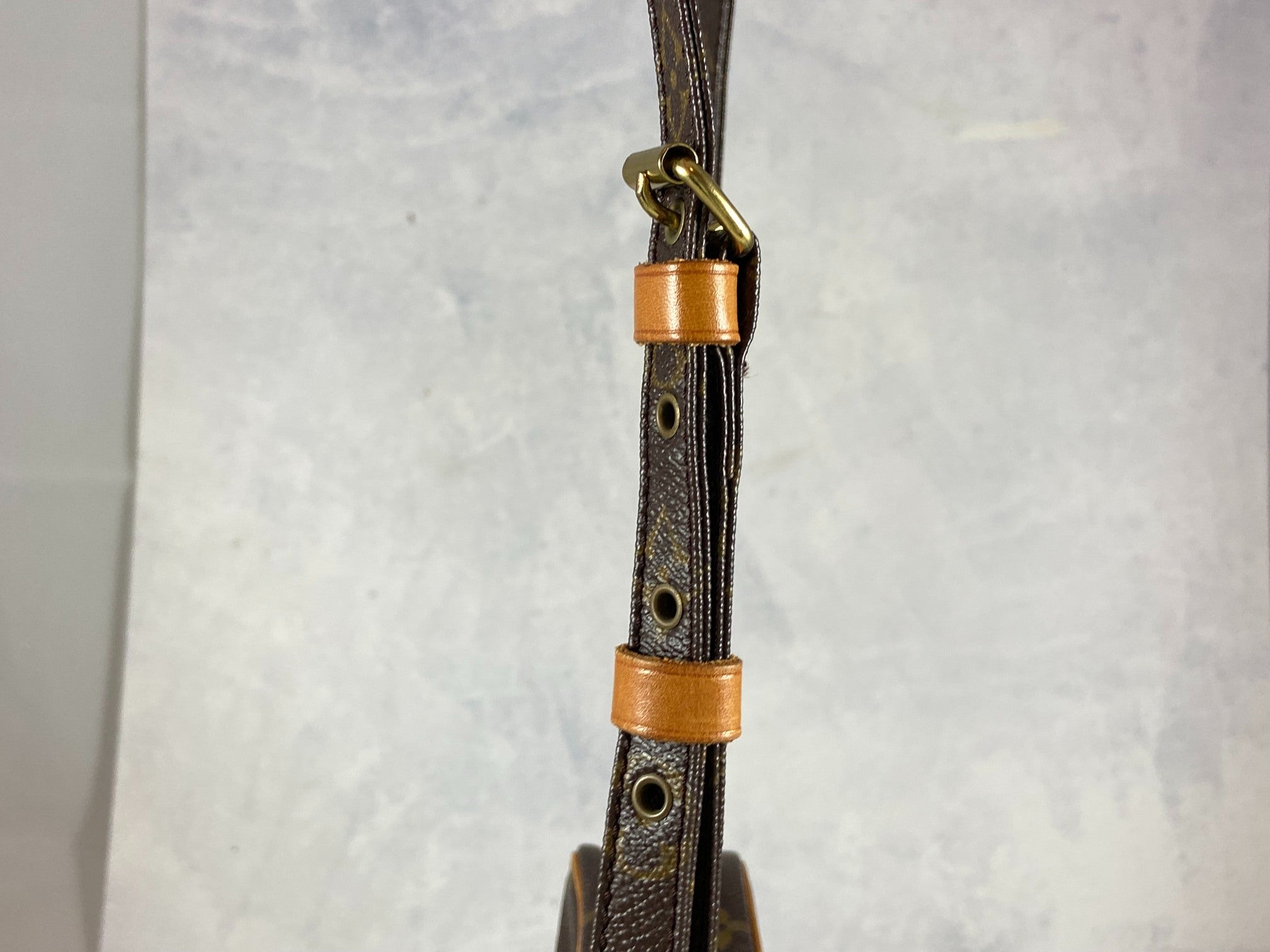 Louis Vuitton Danube PM Monogram Canvas