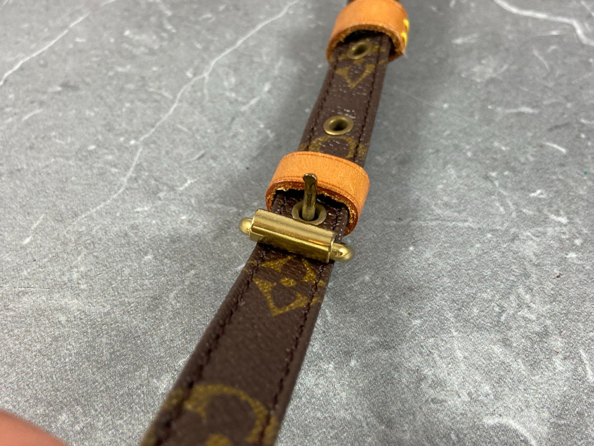 Louis Vuitton Danube PM Monogram Canvas