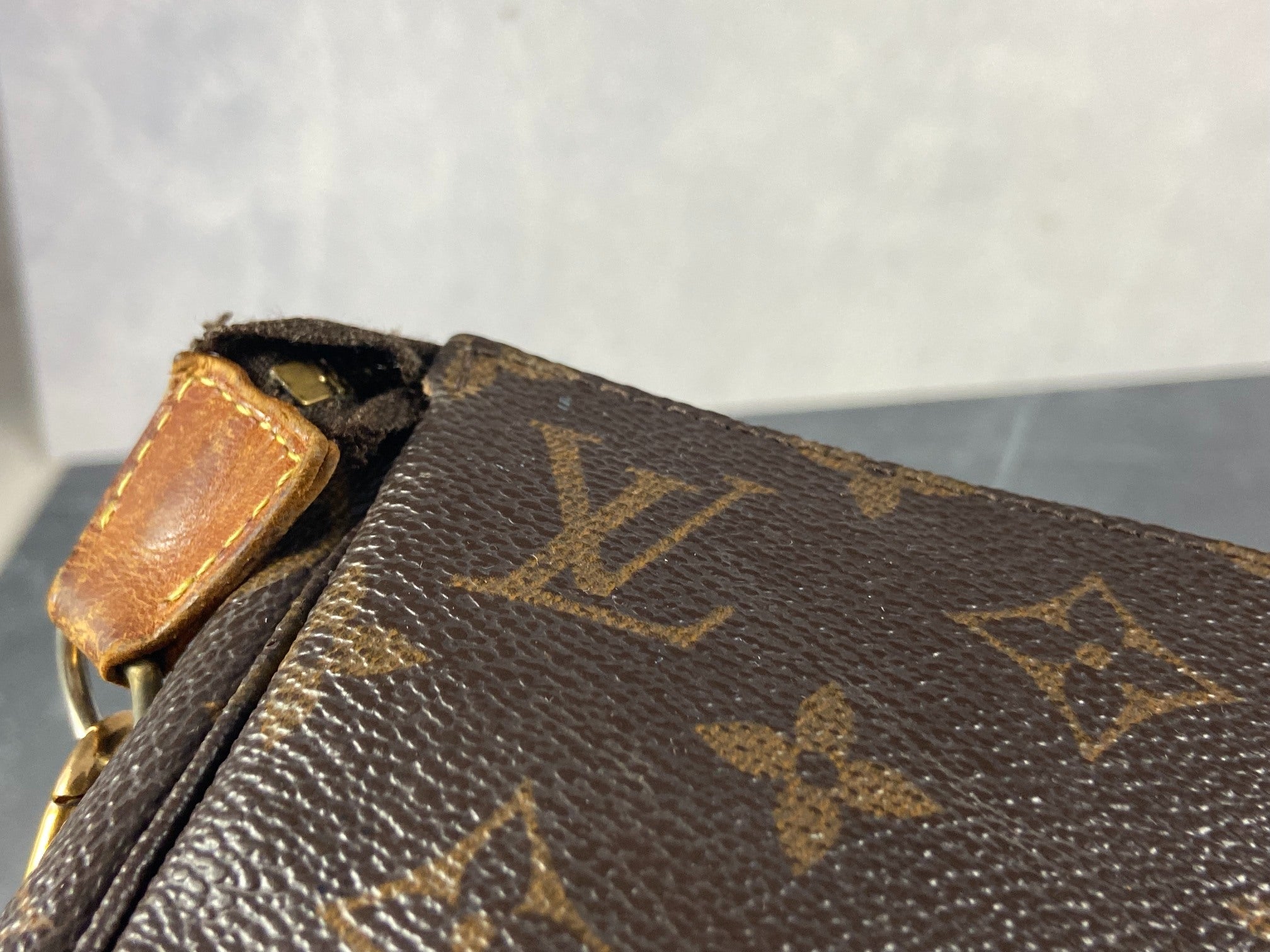 Louis Vuitton Pochette Accessoires Monogram Canvas
