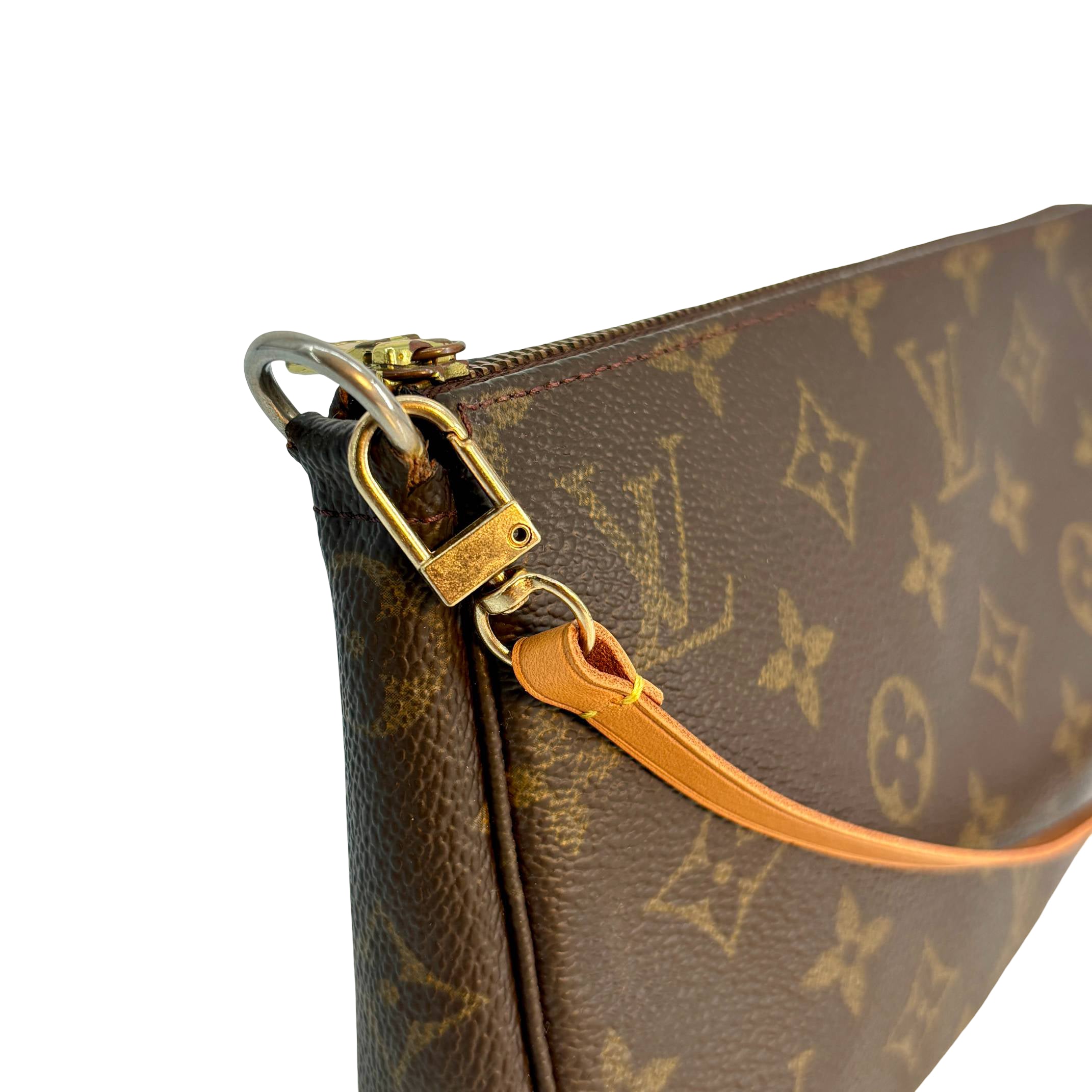 Louis Vuitton Pochette Accessoires Monogram Canvas