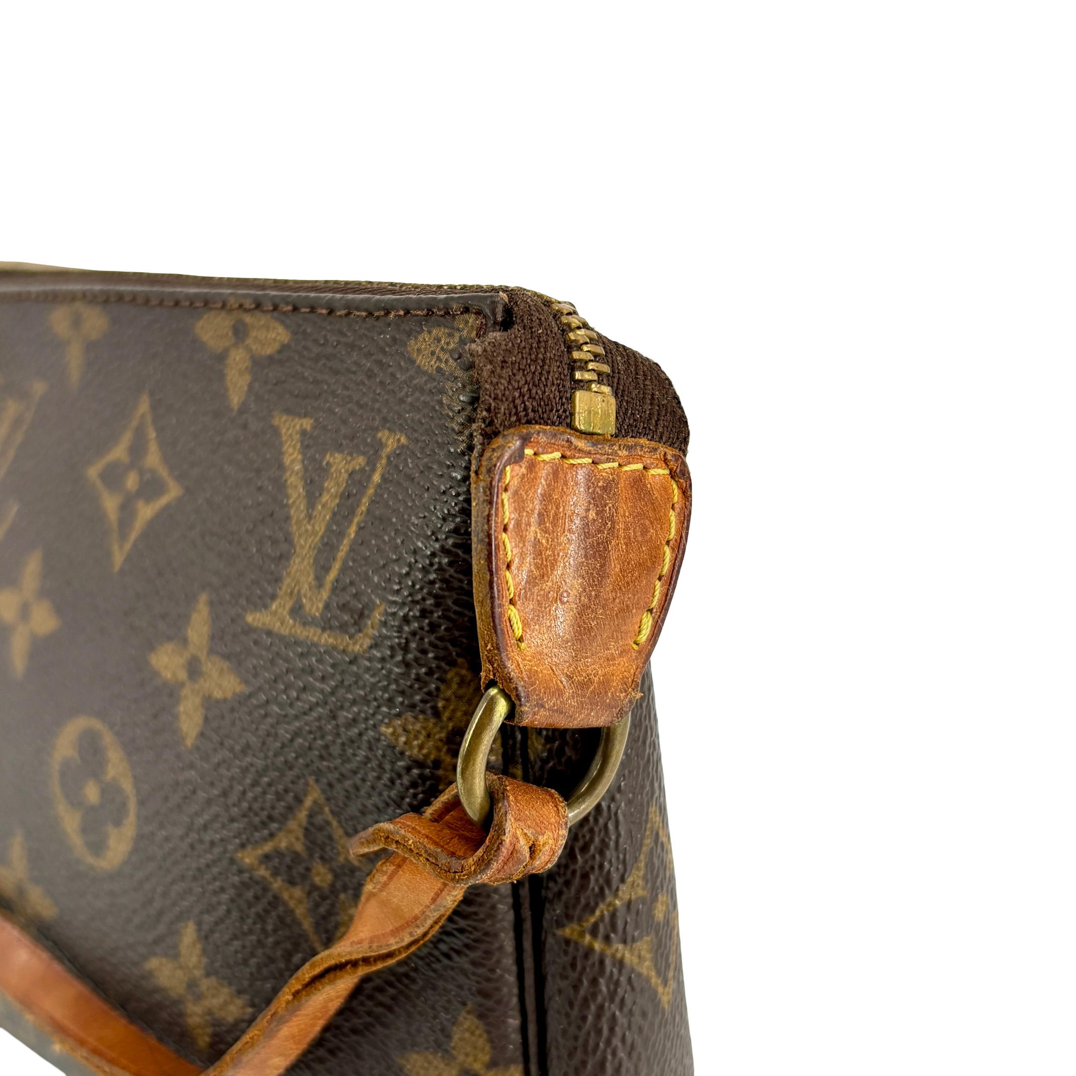Louis Vuitton Pochette Accessoires Monogram Canvas