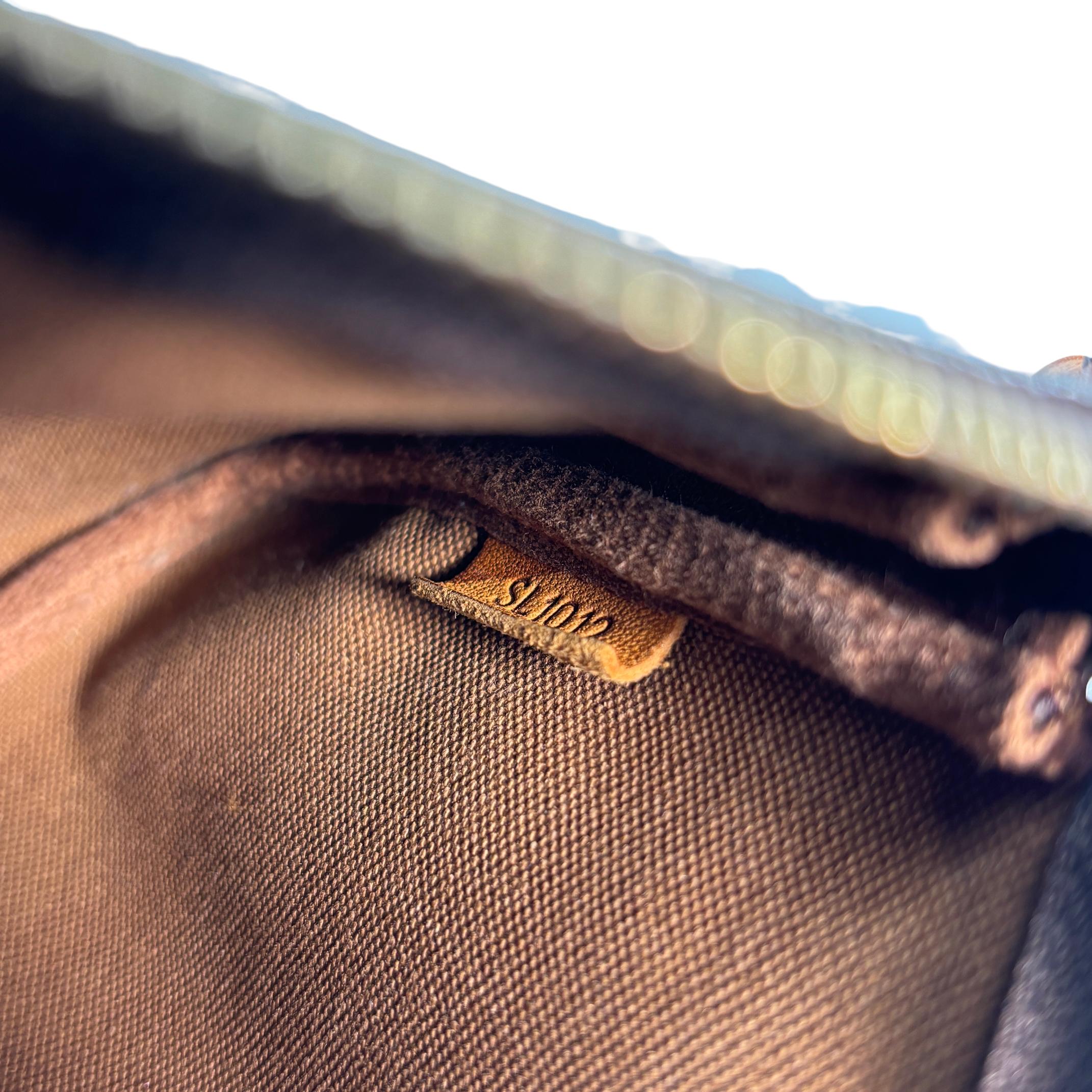 Louis Vuitton Pochette Accessoires Monogram Canvas