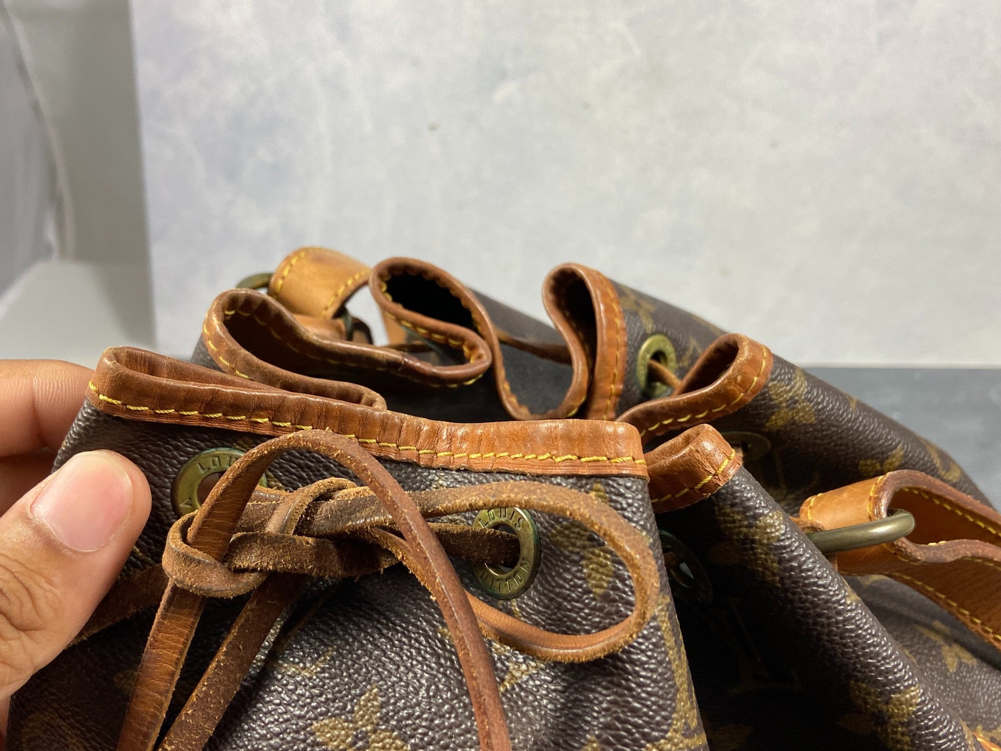 Louis Vuitton Sac Noé Petit Monogram Canvas