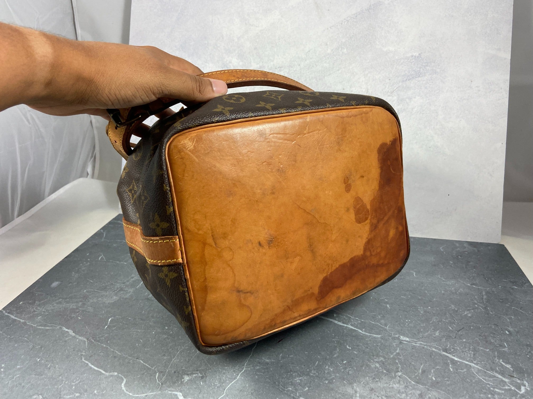 Louis Vuitton Sac Noé Petit Monogram Canvas