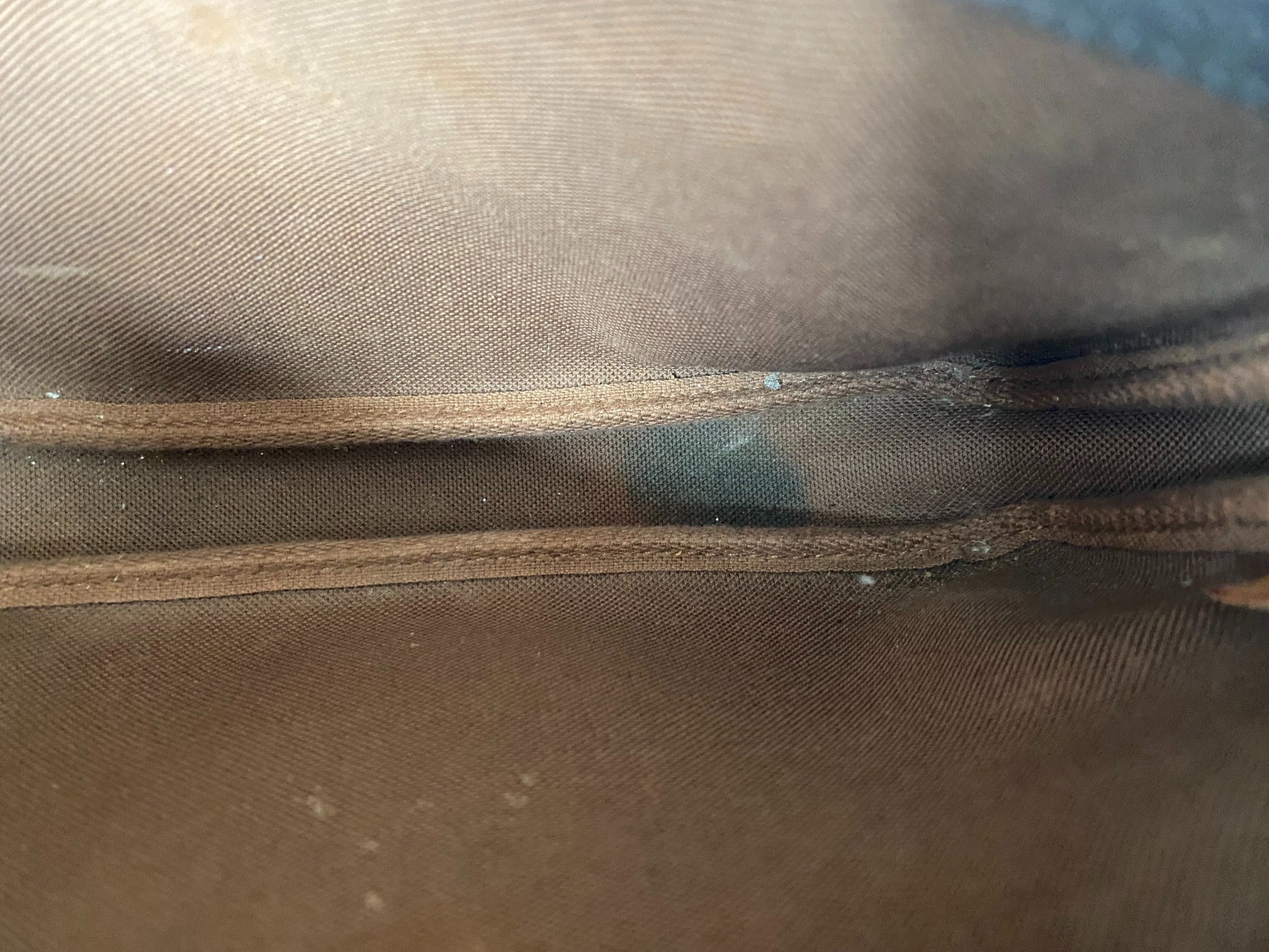 Louis Vuitton Pochette Accessoires Monogram Canvas