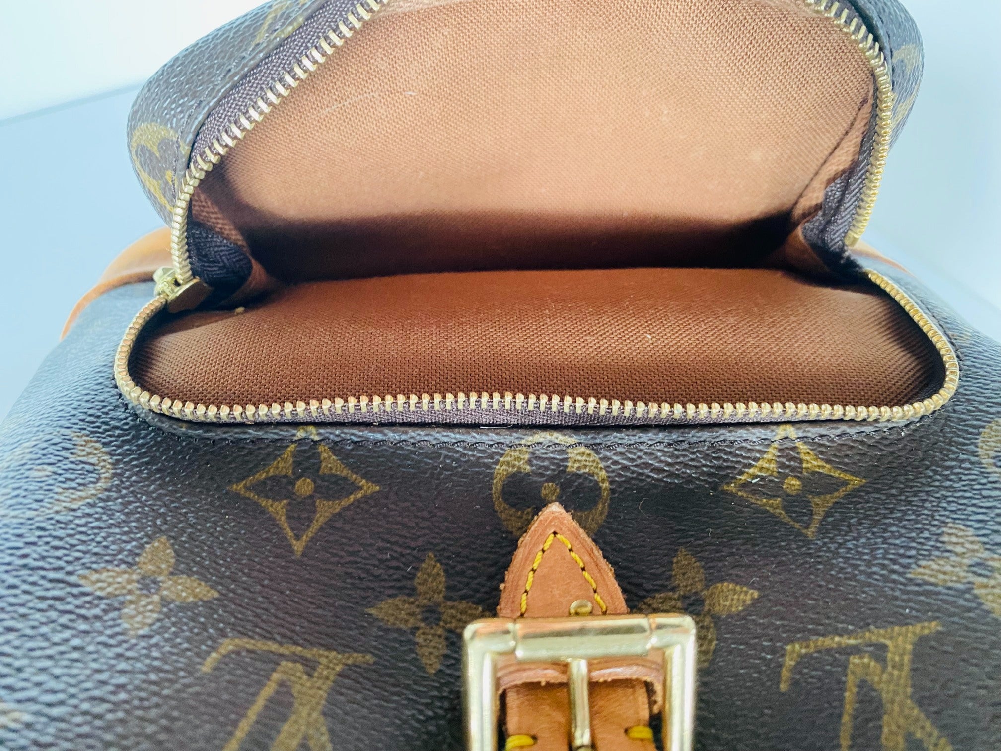 Louis Vuitton Montsouris MM Backpack Monogram Canvas