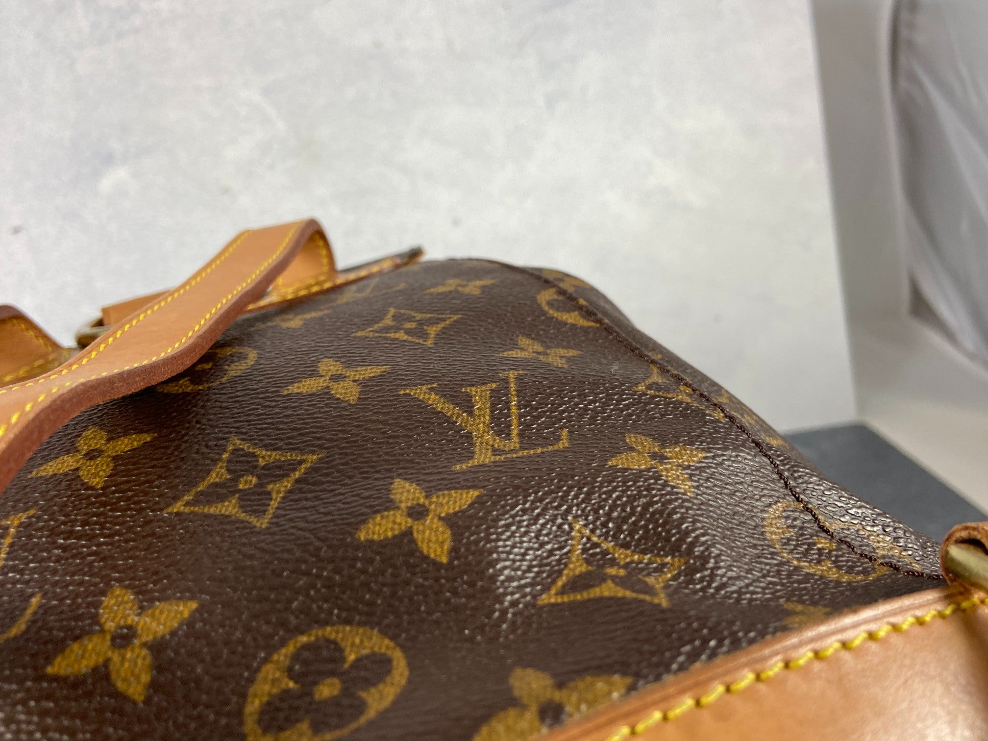 Louis Vuitton Montsouris MM Backpack Monogram Canvas