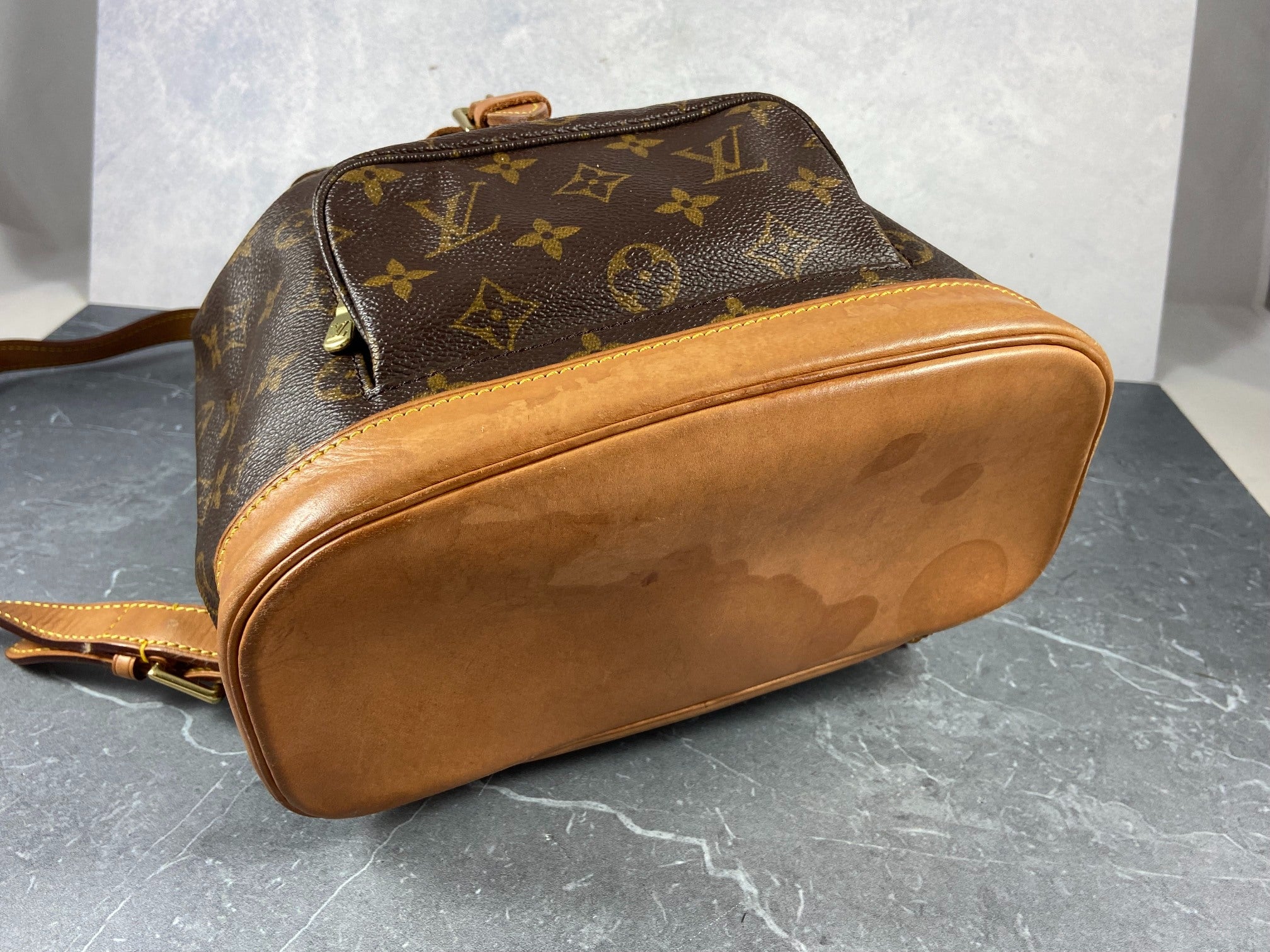 Louis Vuitton Montsouris MM Backpack Monogram Canvas