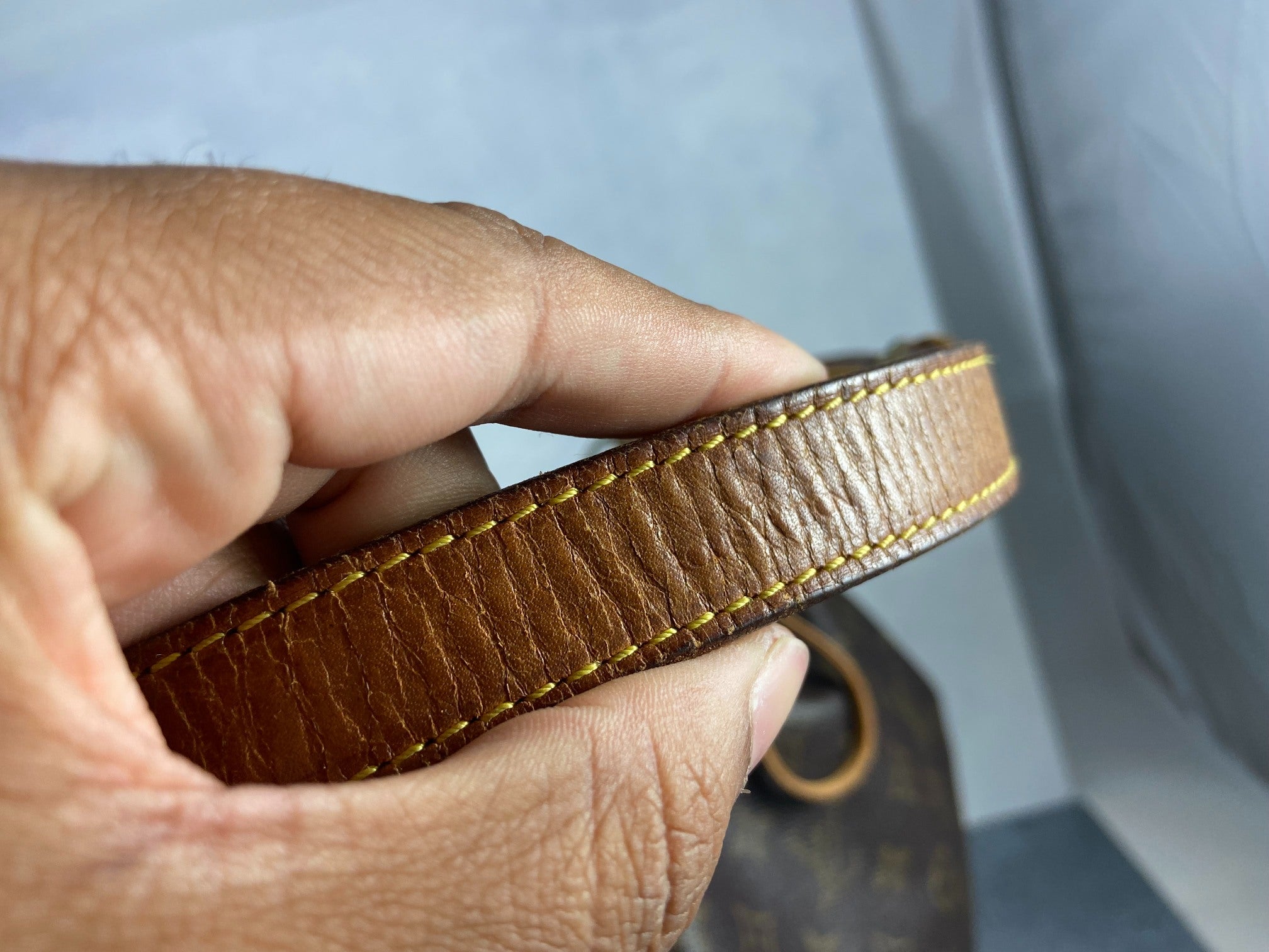 Louis Vuitton Sac Noé Grand Monogram Canvas