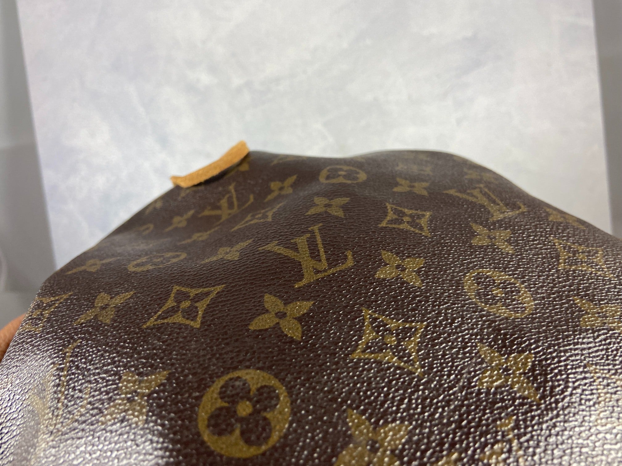 Louis Vuitton Sac Noé Grand Monogram Canvas