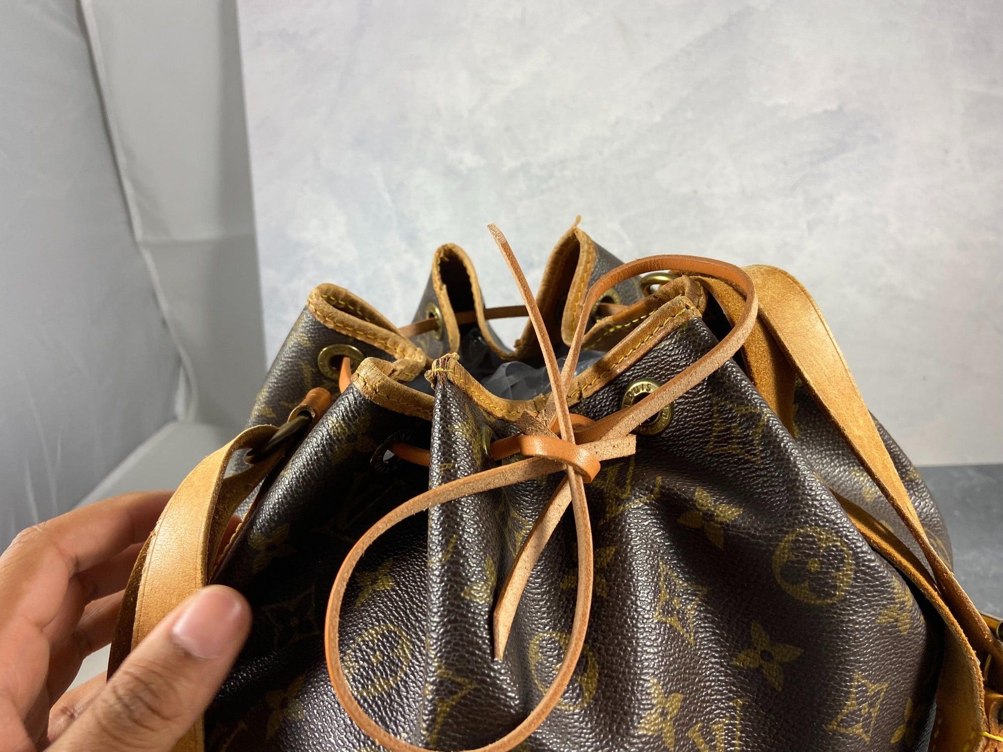 Louis Vuitton Sac Noé Petit Monogram Canvas