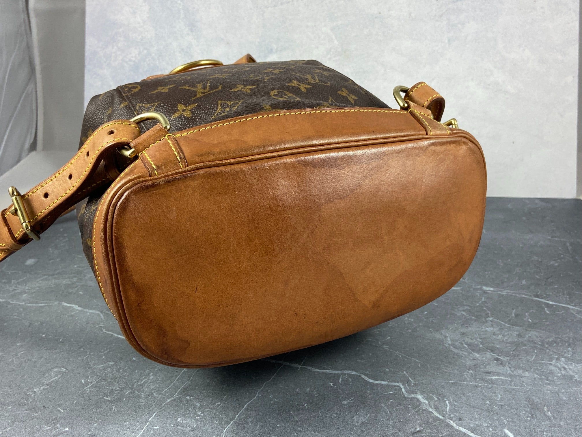 Louis Vuitton Montsouris MM Backpack Monogram Canvas