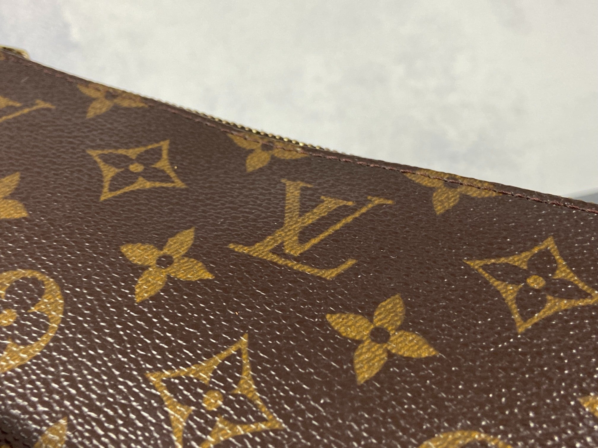 Louis Vuitton Pochette Accessoires Monogram Canvas