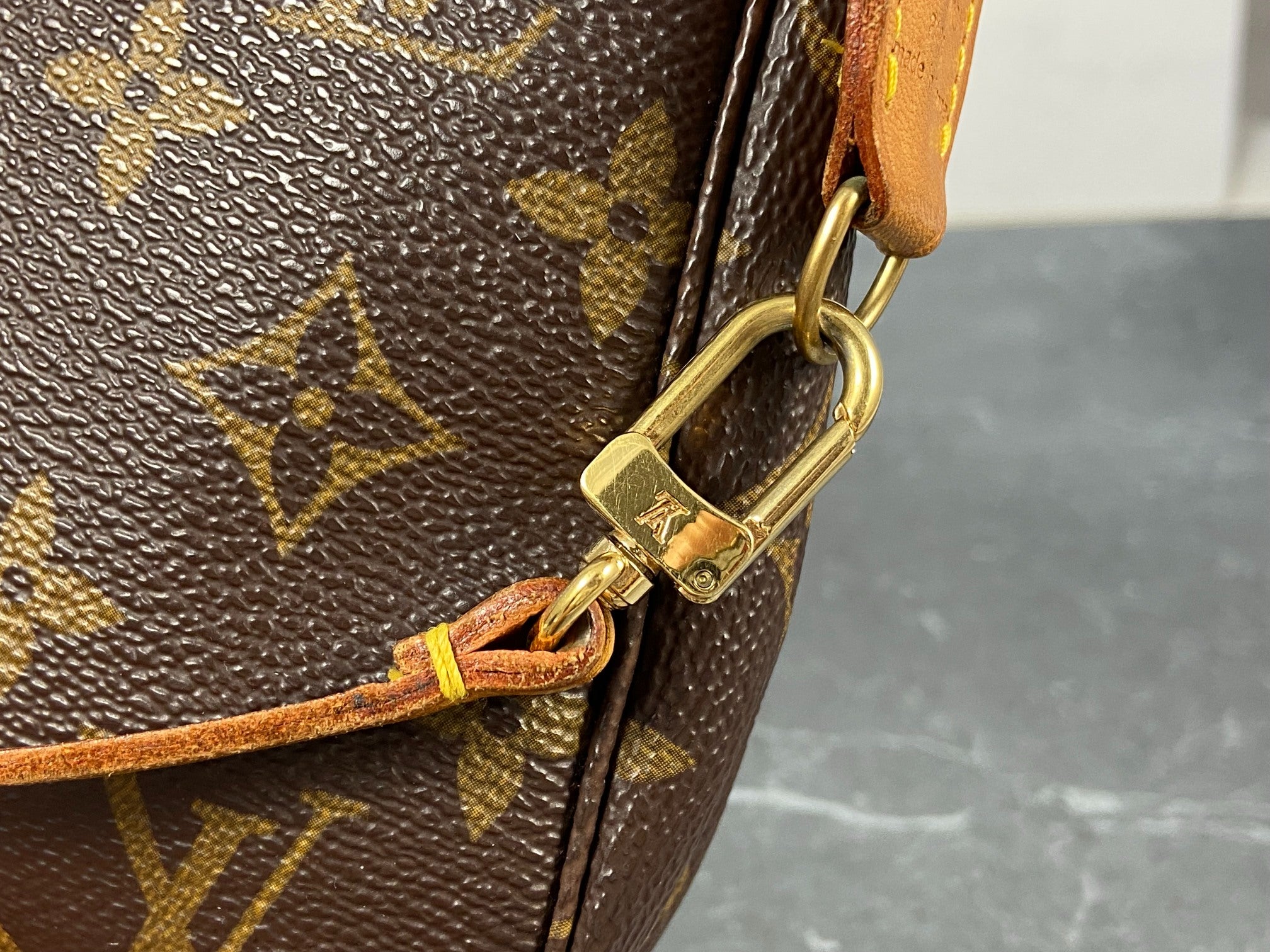 Louis Vuitton Pochette Accessoires Monogram Canvas