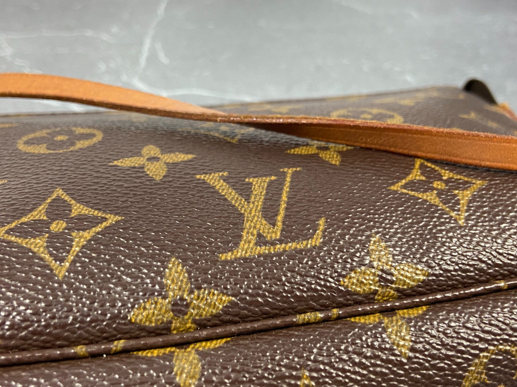 Louis Vuitton Pochette Accessoires Monogram Canvas