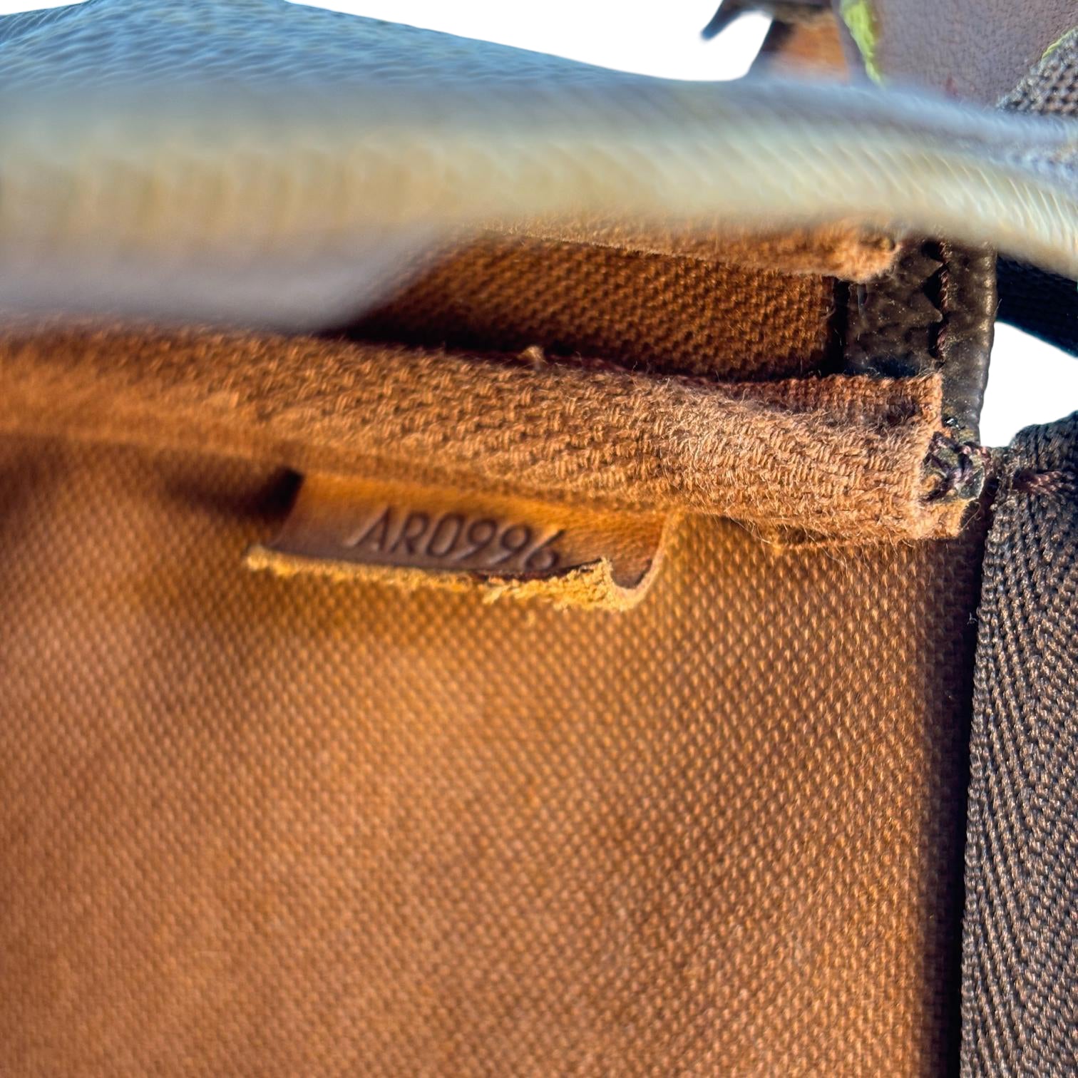 Louis Vuitton Pochette Accessoires Monogram Canvas