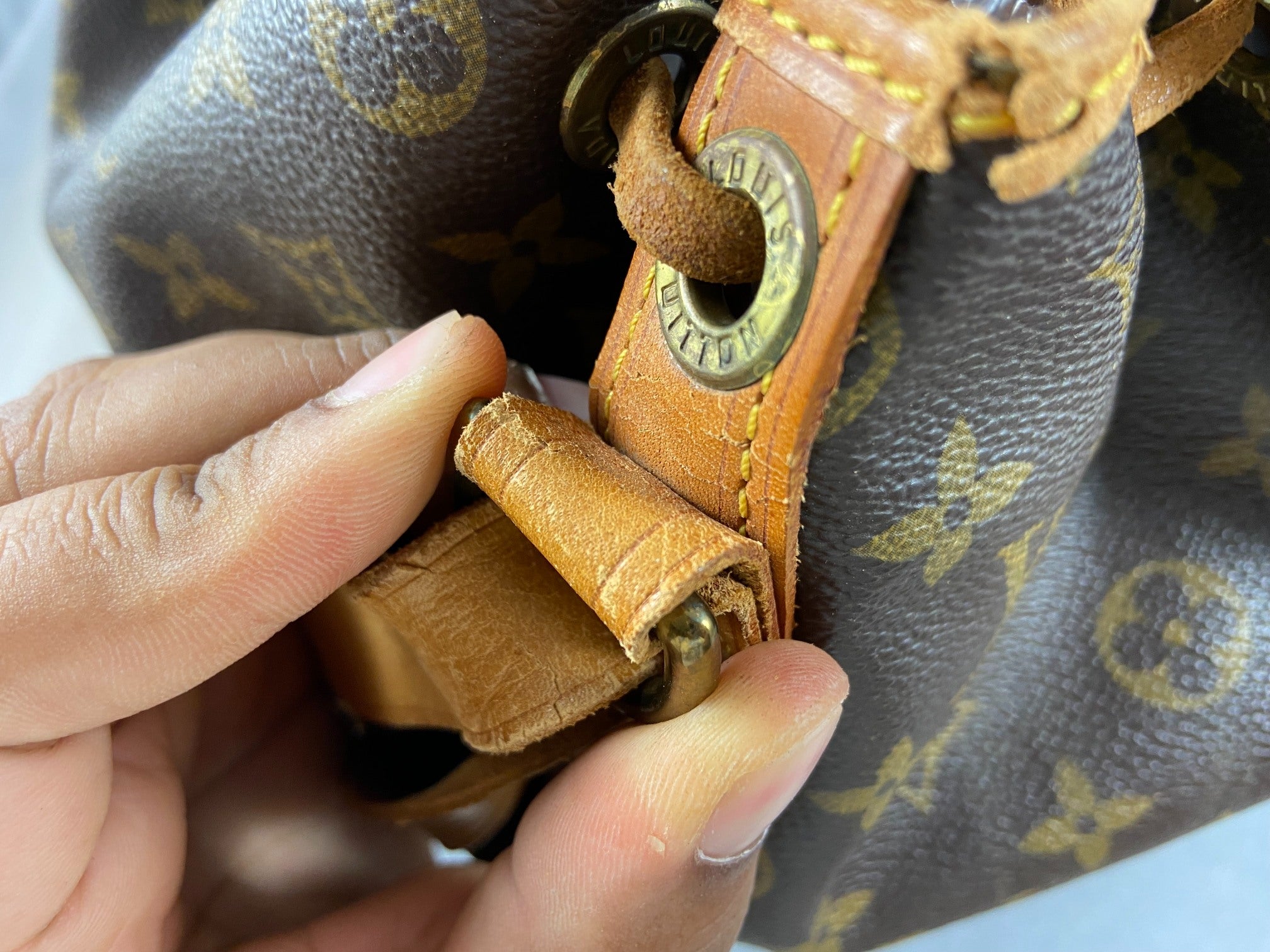 Louis Vuitton Sac Noé Grand Monogram Canvas