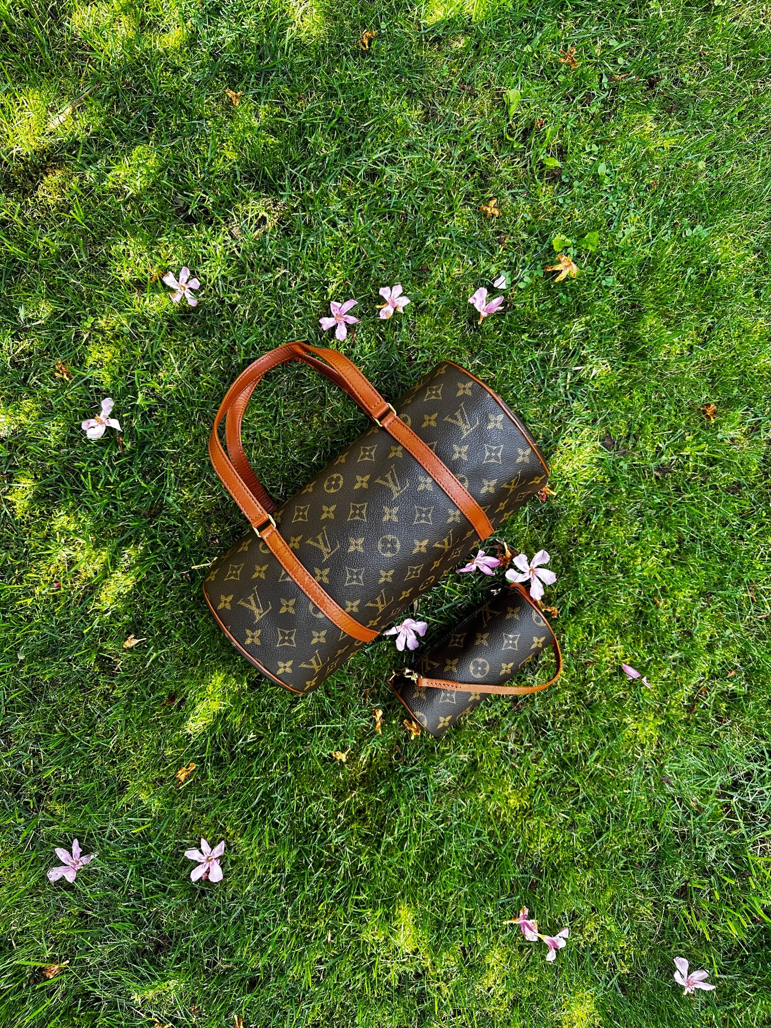 Louis Vuitton Mini Papillon Pochette Monogram Canvas