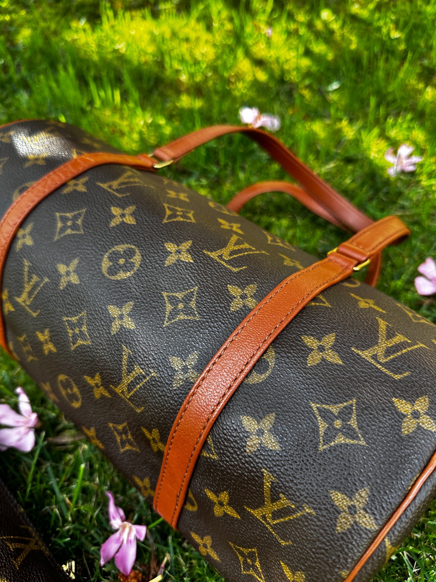 Louis Vuitton Monogram Canvas