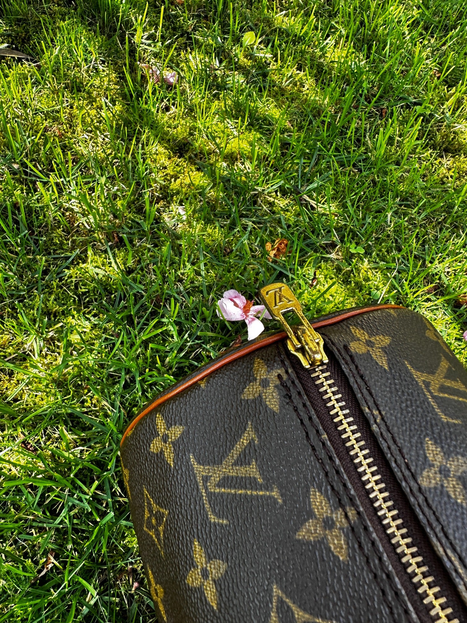 Louis Vuitton Monogram Canvas