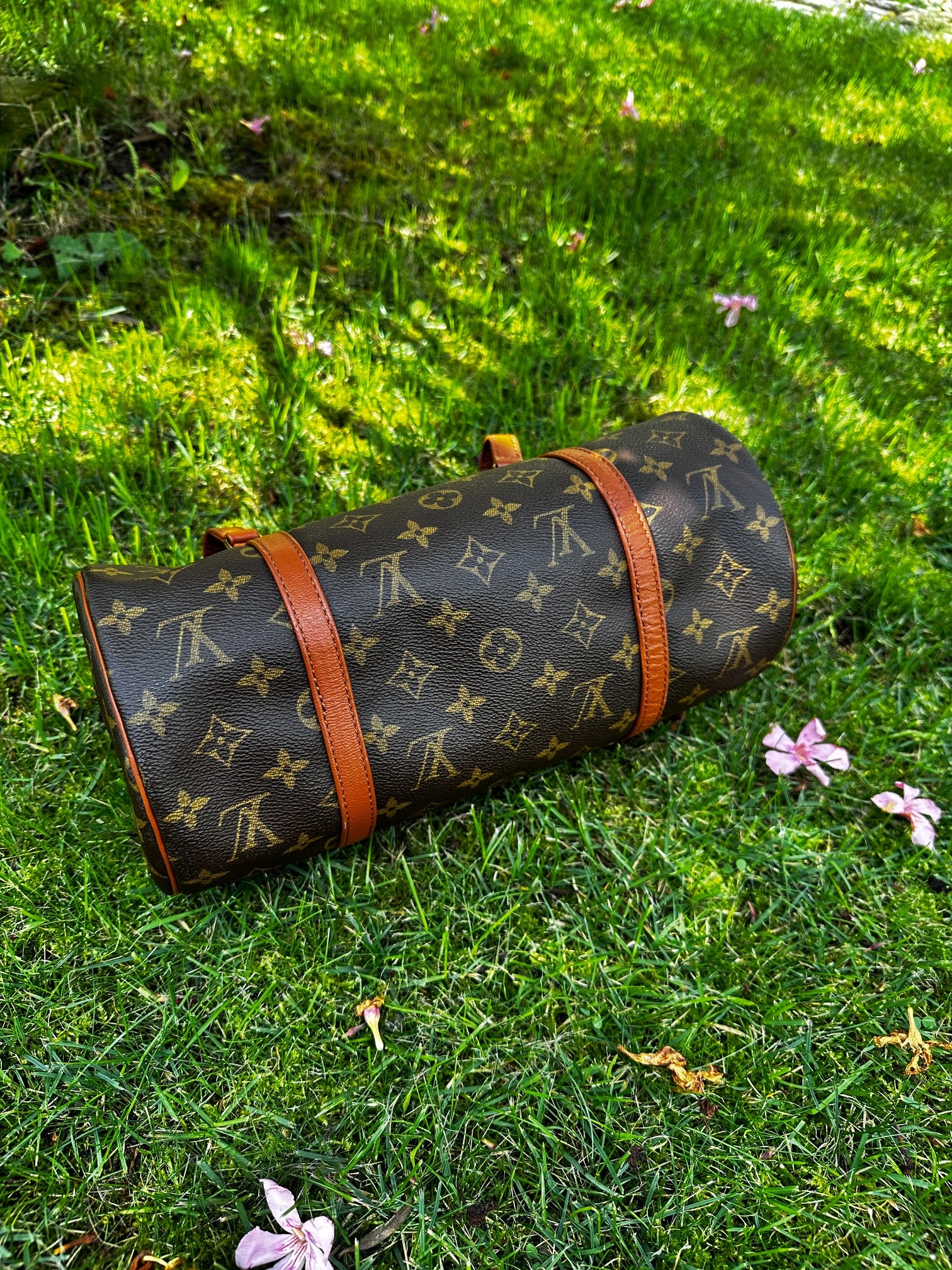 Louis Vuitton Monogram Canvas