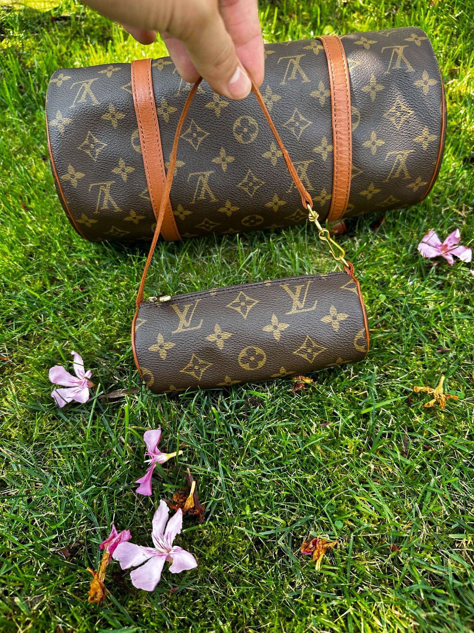 Louis Vuitton Mini Papillon Pochette Monogram Canvas