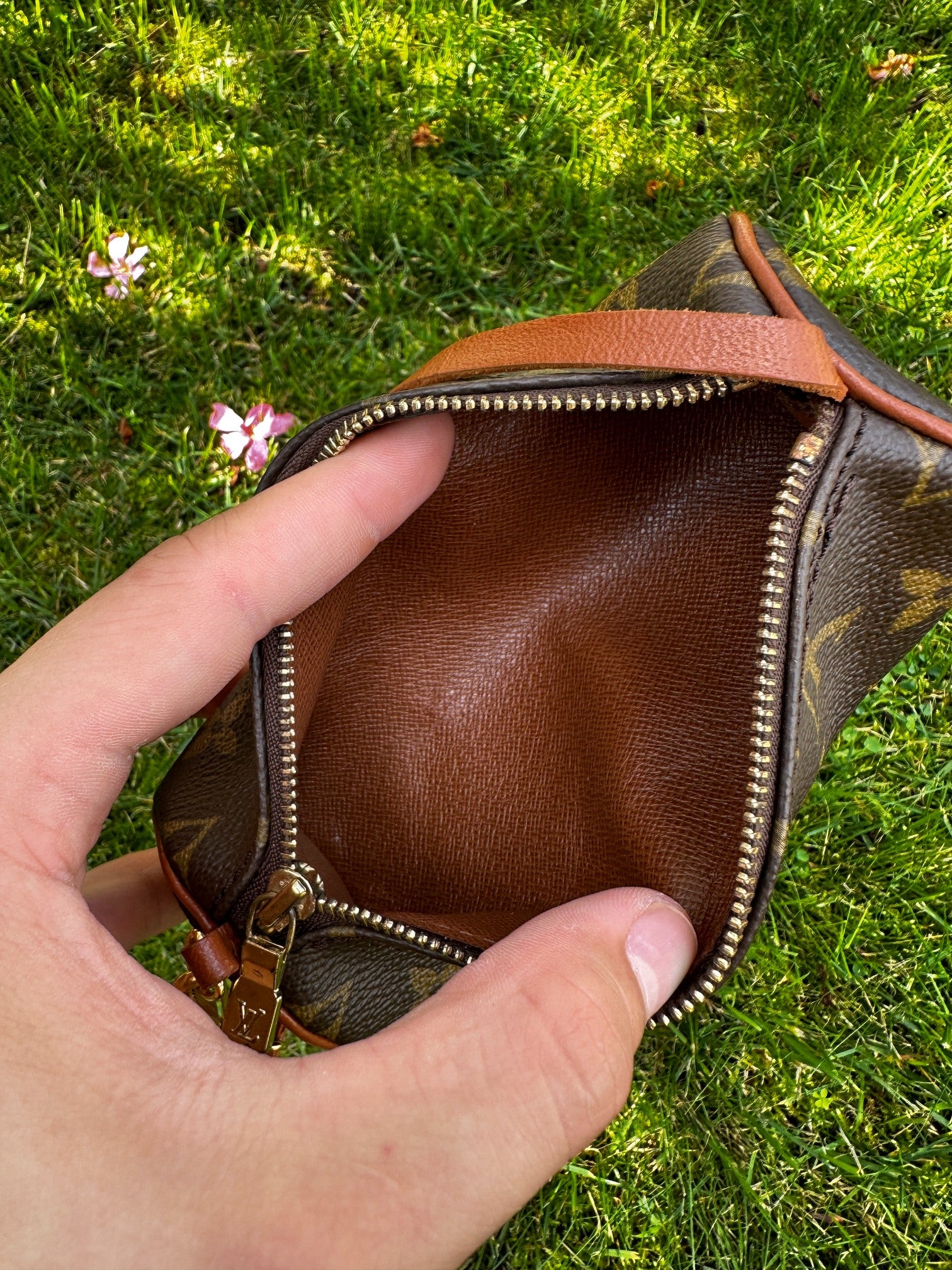 Louis Vuitton Mini Papillon Pochette Monogram Canvas