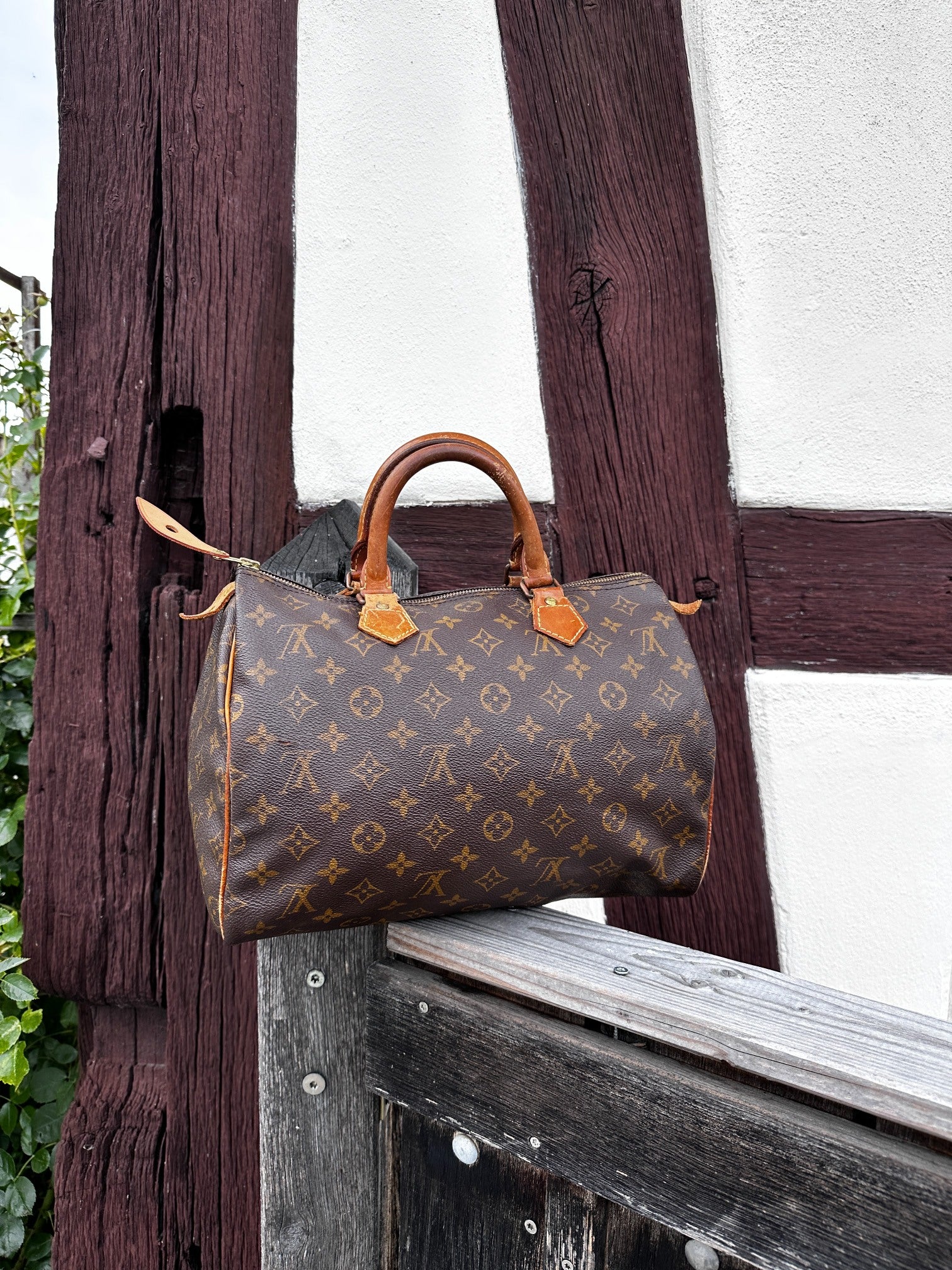 Louis Vuitton Speedy 30 Monogram Canvas