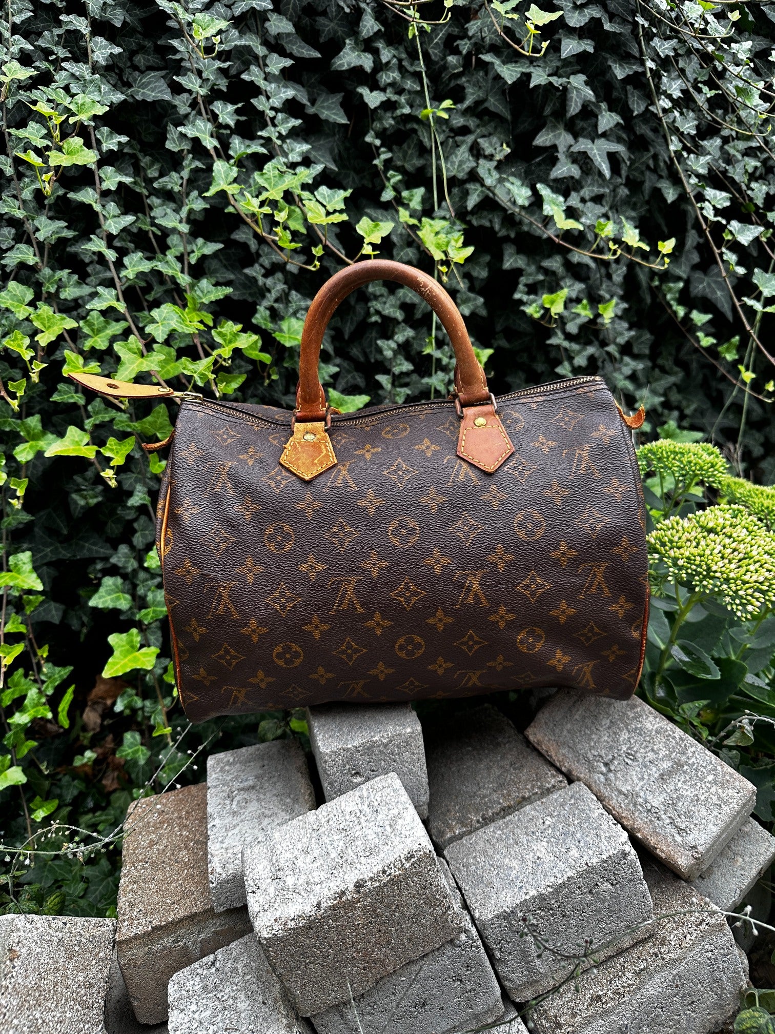 Louis Vuitton Speedy 30 Monogram Canvas