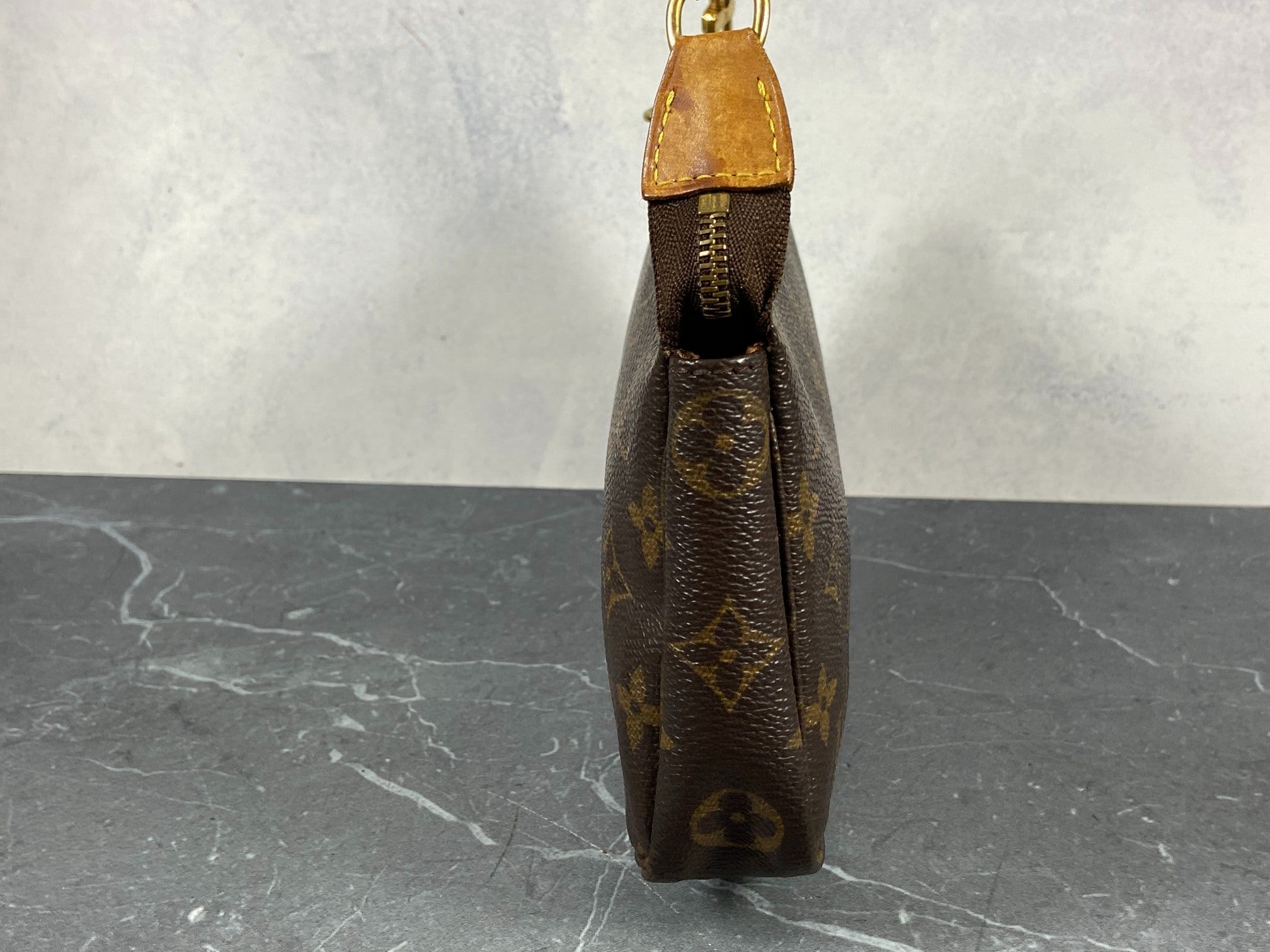 Louis Vuitton Pochette Accessoires Monogram Canvas