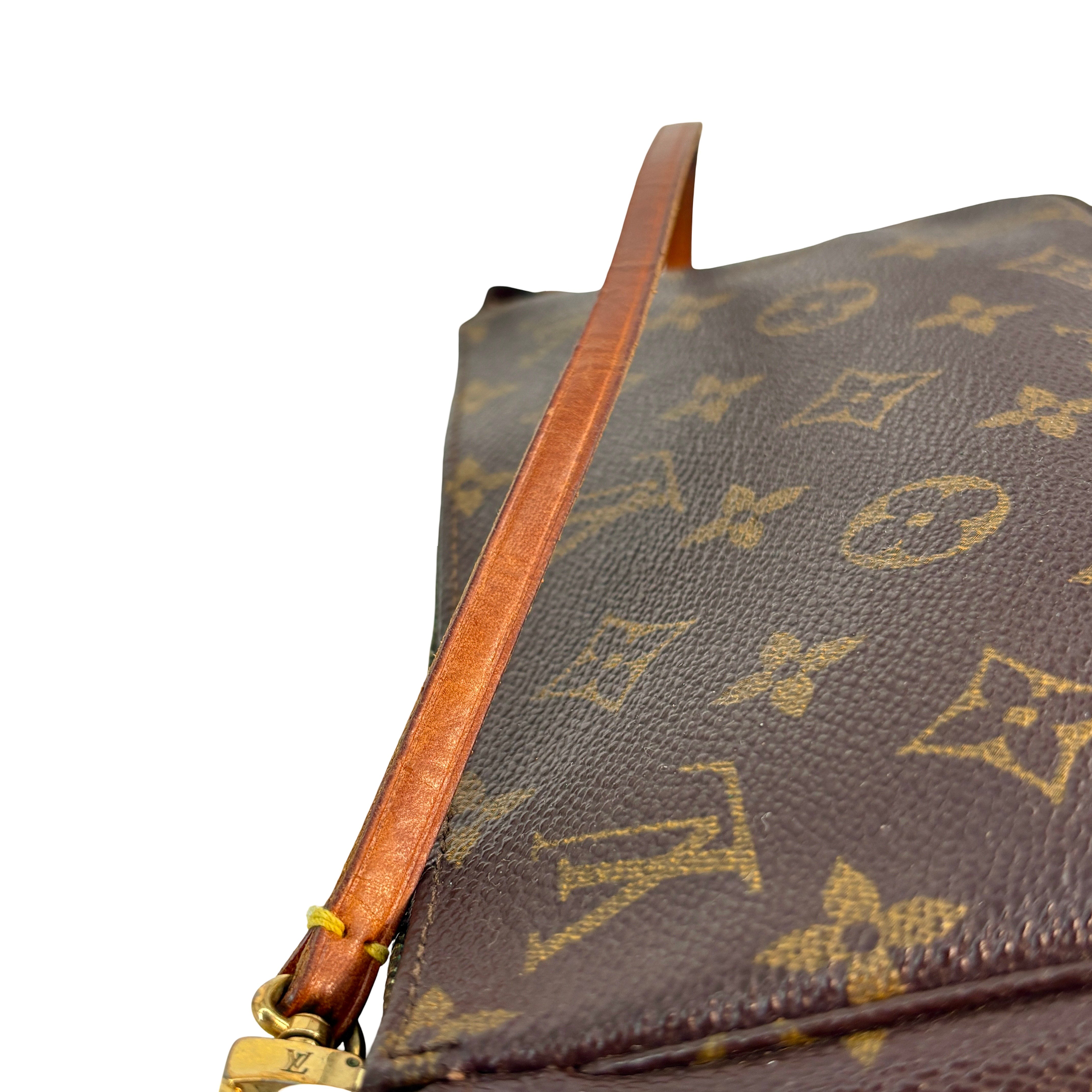 Louis Vuitton Pochette Accessoires Monogram Canvas