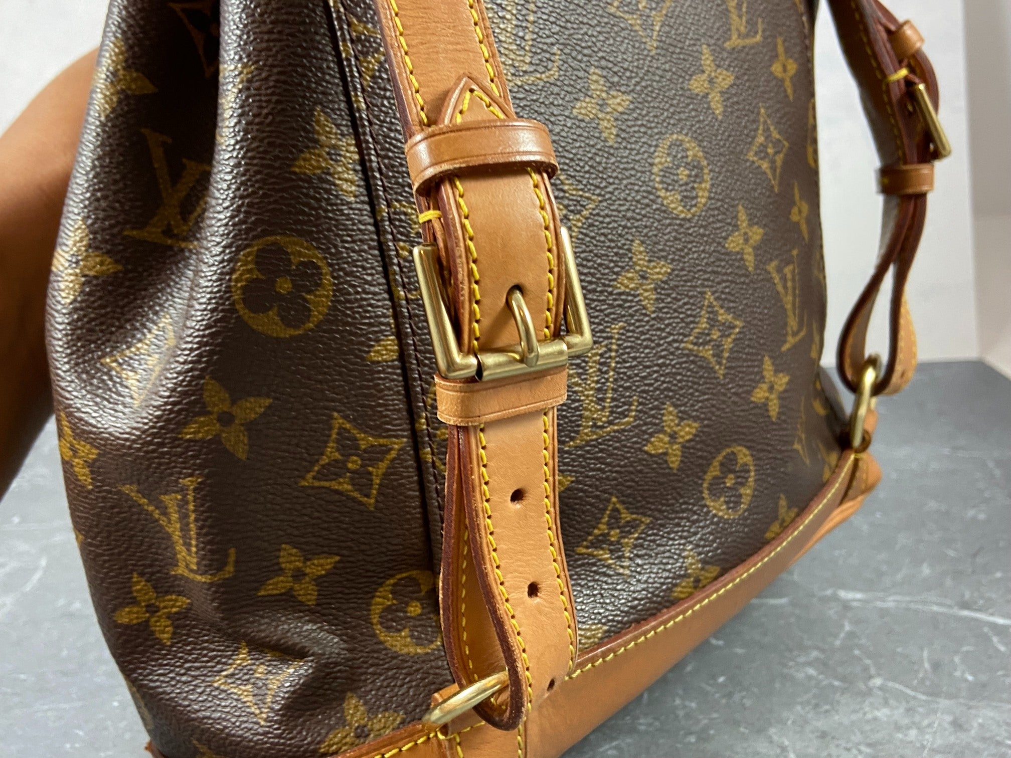 Louis Vuitton Montsouris MM Backpack Monogram Canvas
