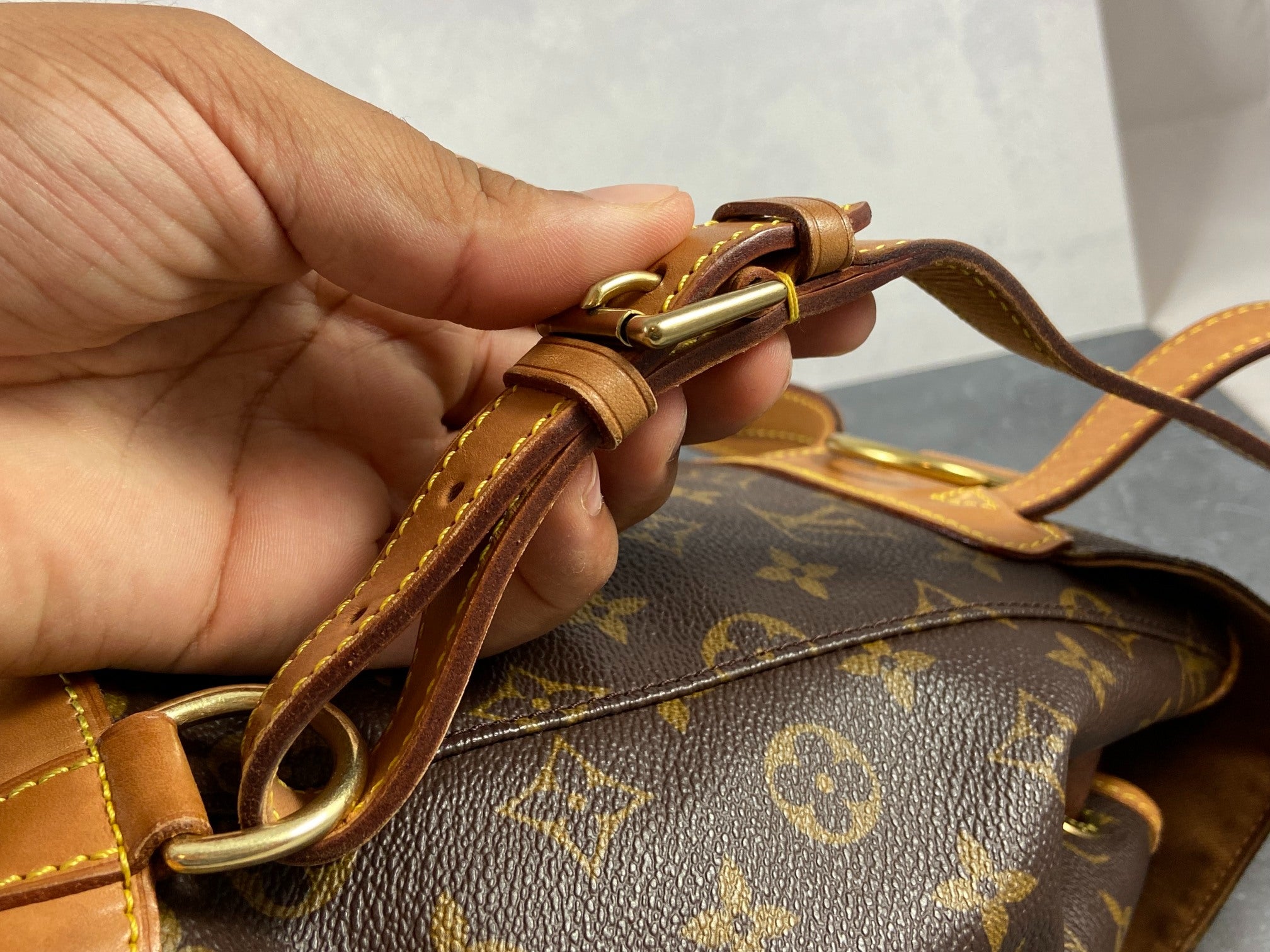 Louis Vuitton Montsouris MM Backpack Monogram Canvas