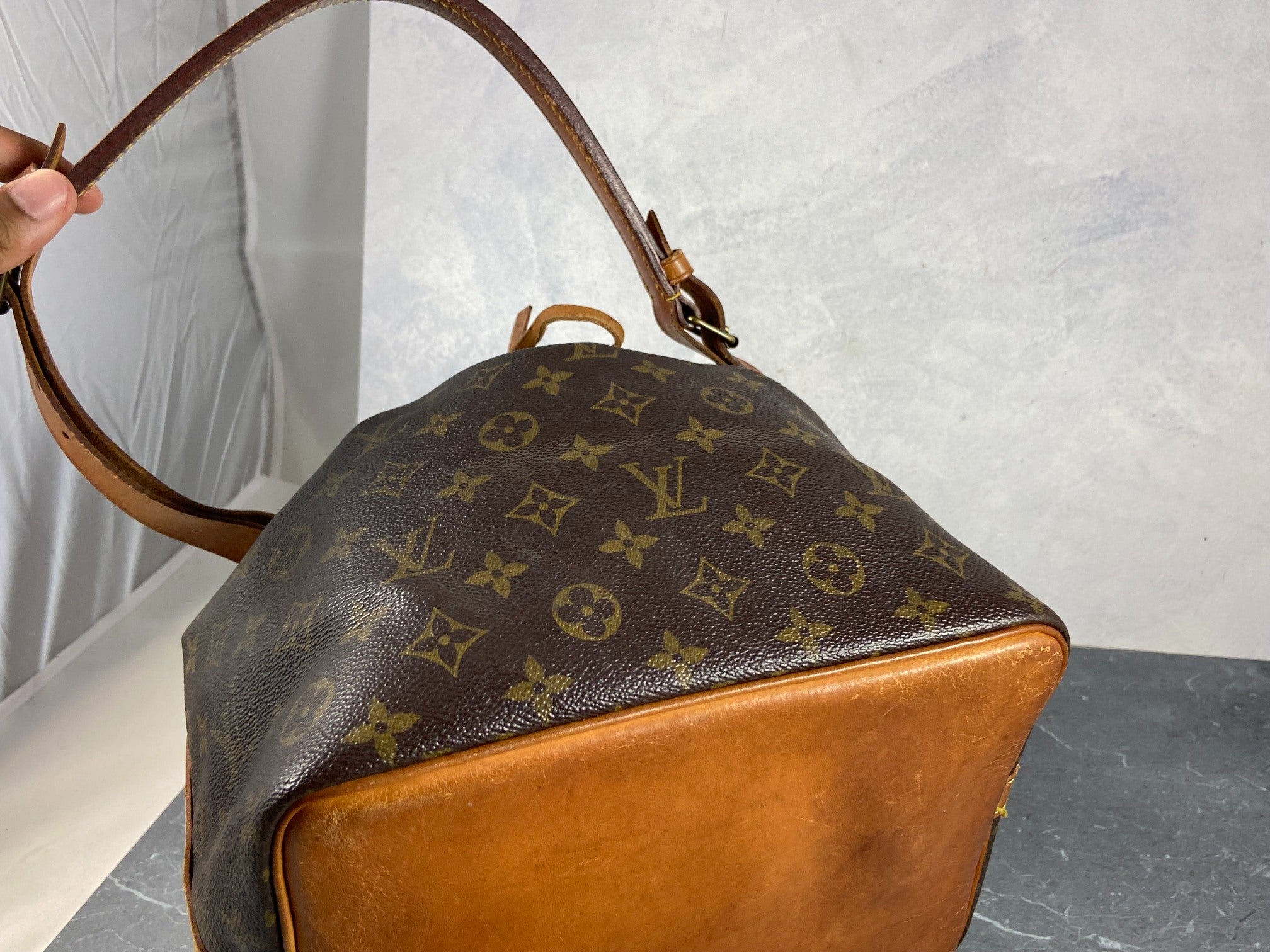 Louis Vuitton Sac Noé Petit Monogram Canvas