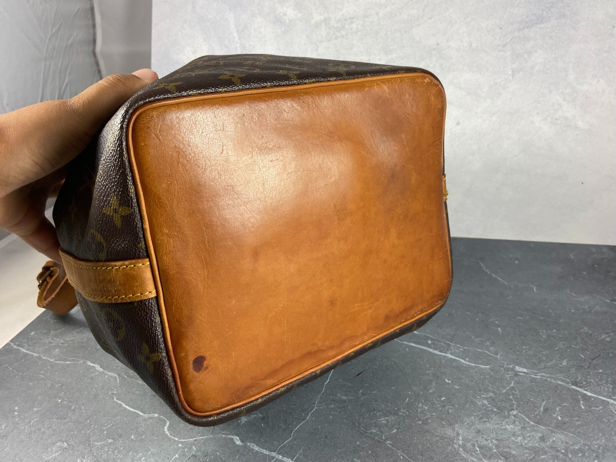 Louis Vuitton Sac Noé Petit Monogram Canvas