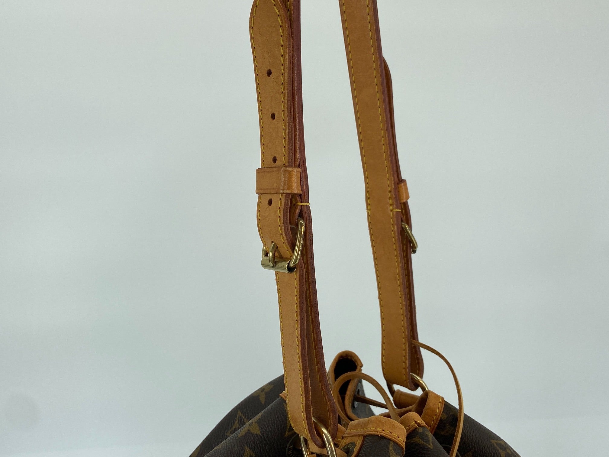 Louis Vuitton Sac Noé Grand Monogram Canvas